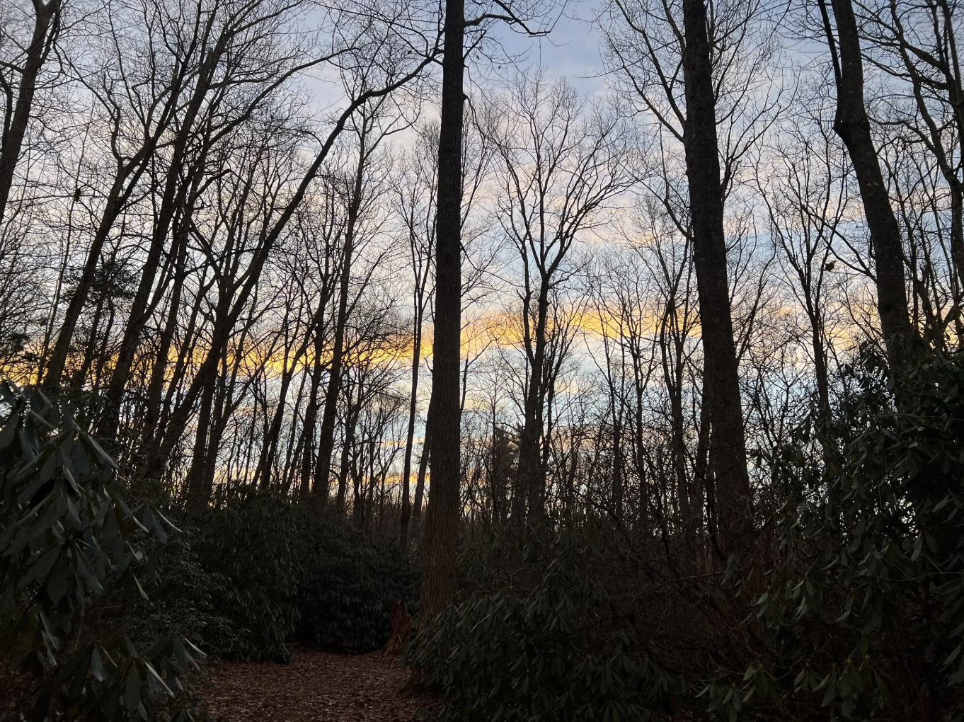 The Calendar Says “New Year”. The Land Says “Not Yet”.