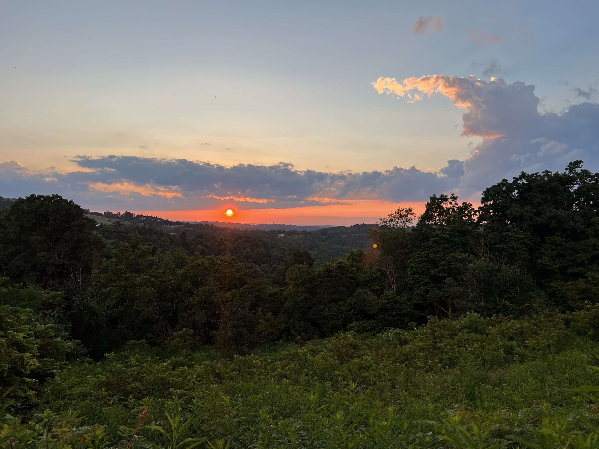 IMG_4745.jpg