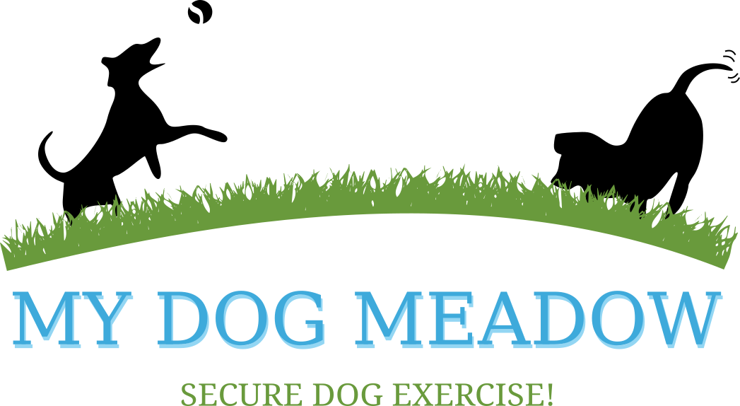 My Dog Meadow-Secure dog exercise