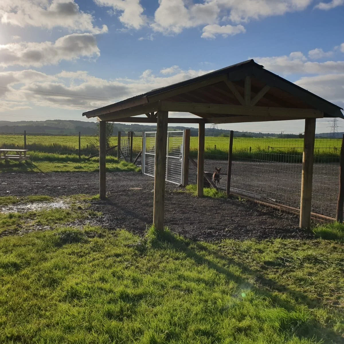 Booking | My Dog Meadow