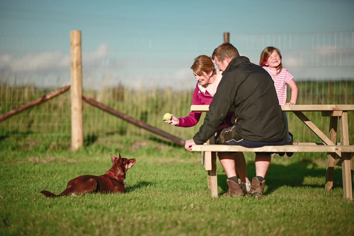 A couple and their young daughter sat at a picnic bench, the woman is about to throw a ball for their dog who is lay on the grass in a secure exercise field for dogs in Lathom, Lancashire