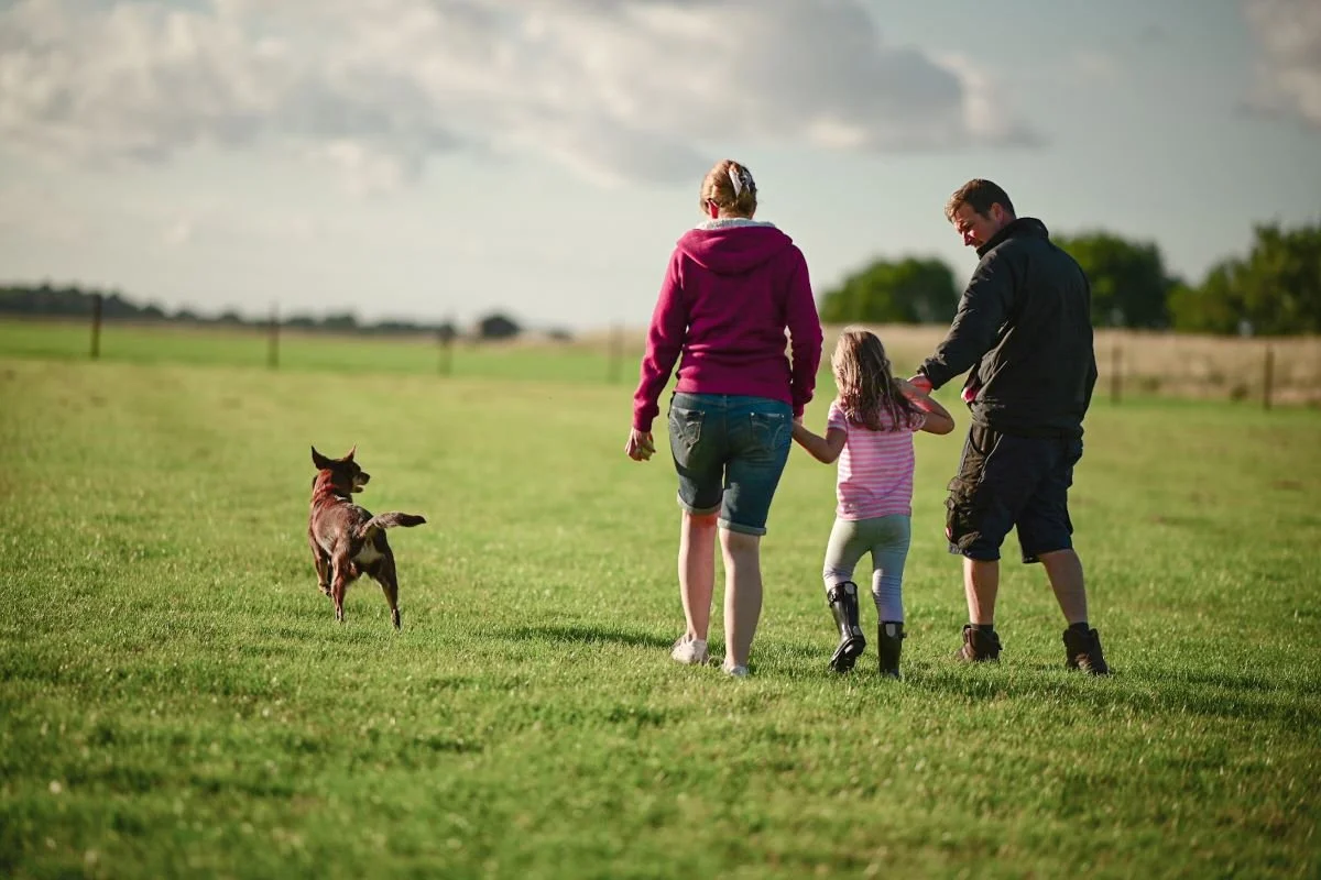 A couple and their daughter walking their dog in a secure exercise field for dogs in Lathom, Lancashire