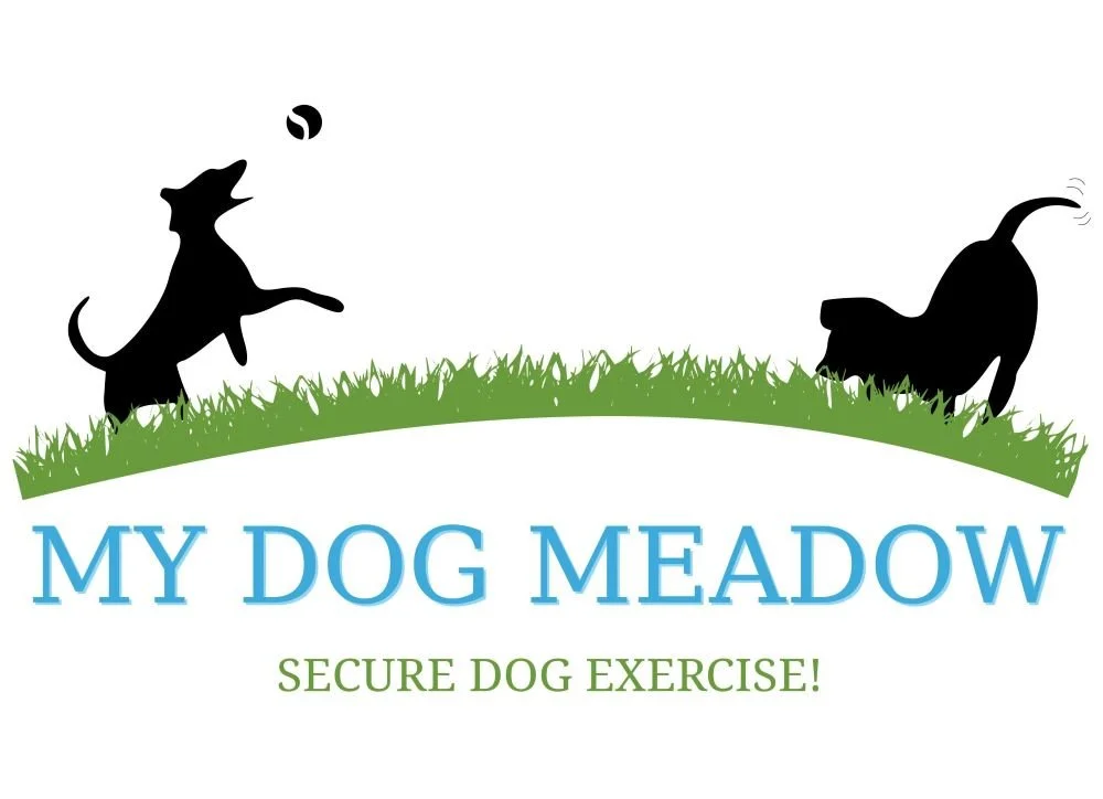 logo for My Dog Meadow a secure exercise venue for dogs