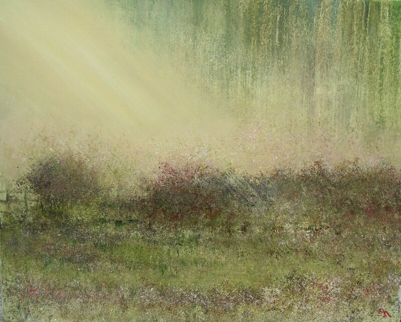 'Soft Rays'