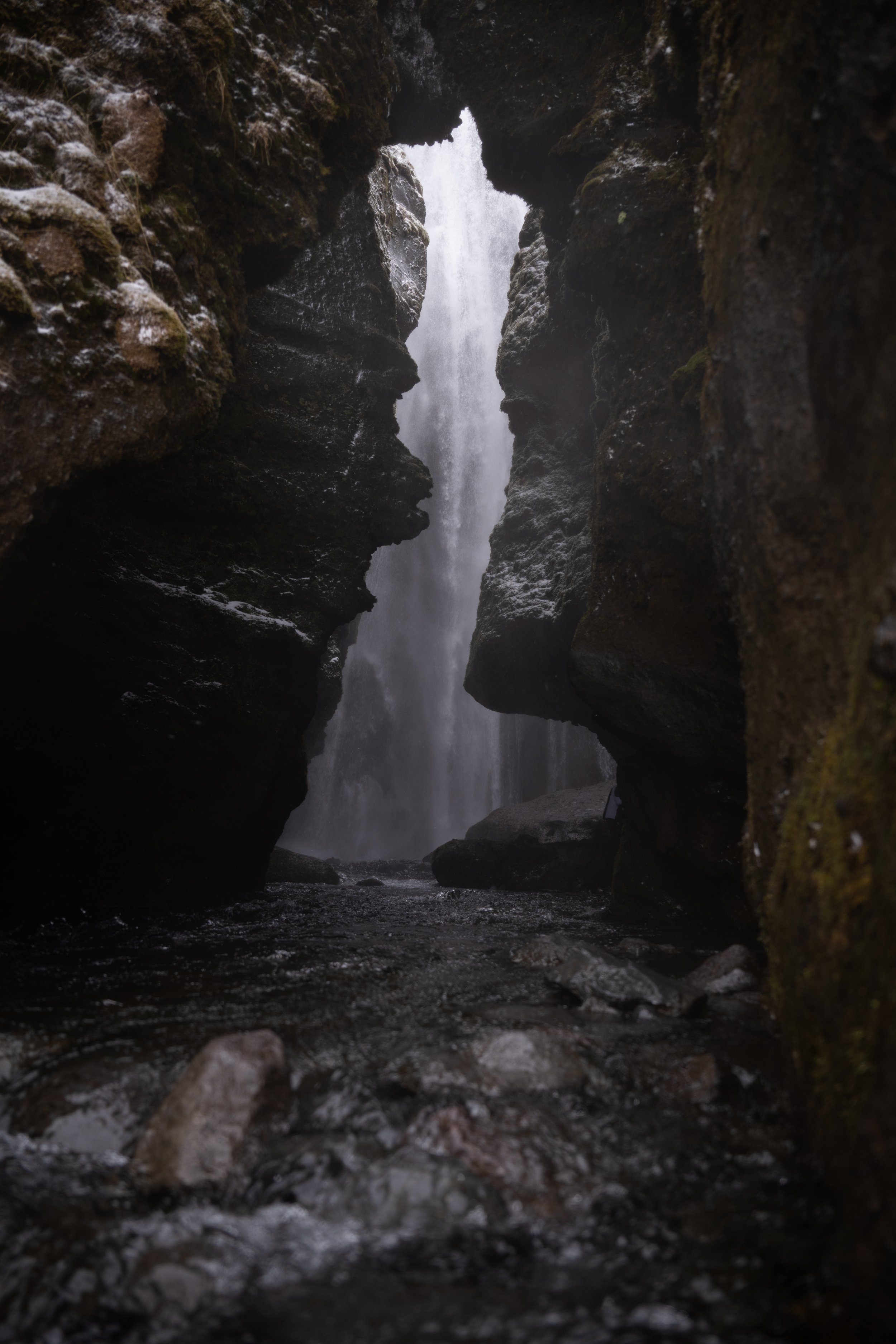 _DSC7195.jpg