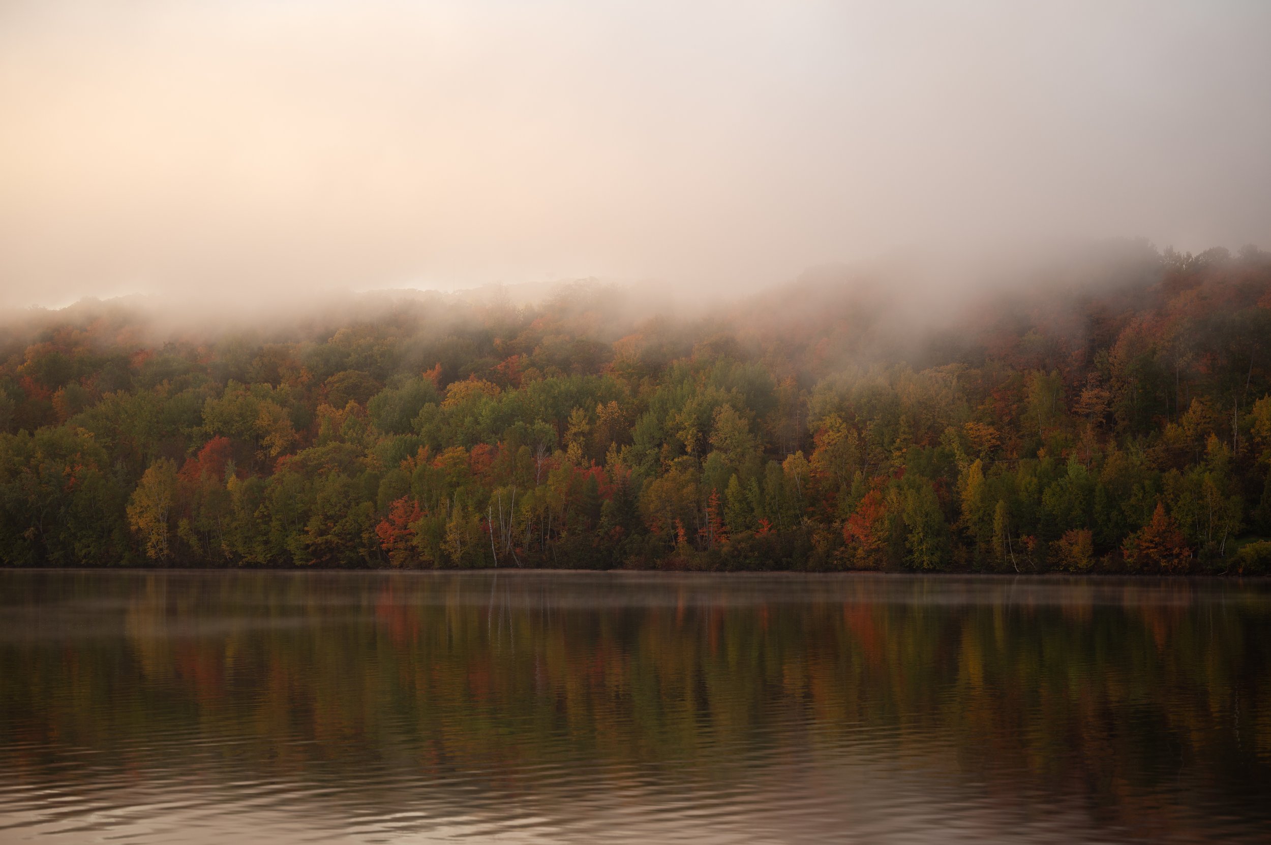 DSC_0598.jpg
