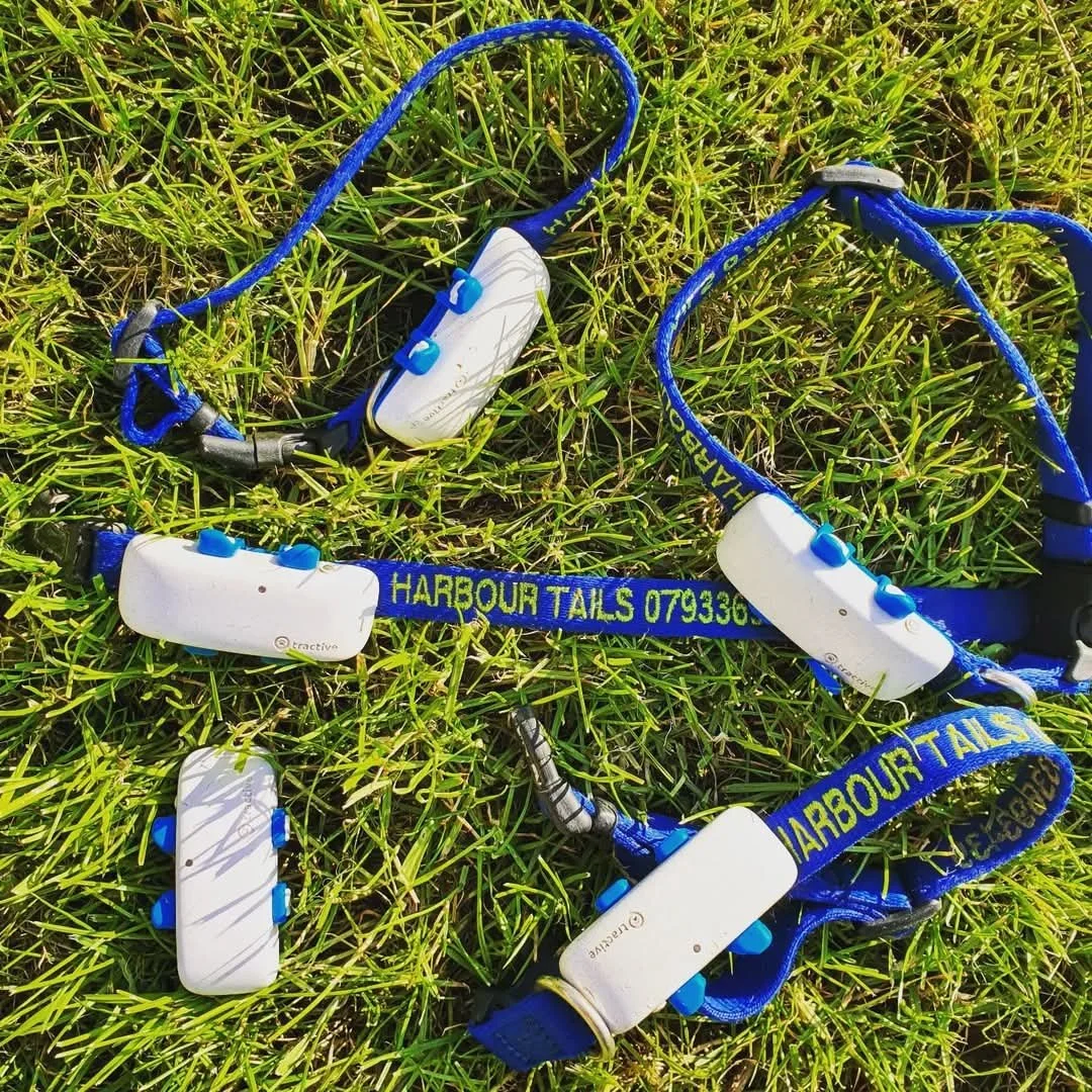 WhatsApp Image 2025-04-11 at 11.17.34.jpeg