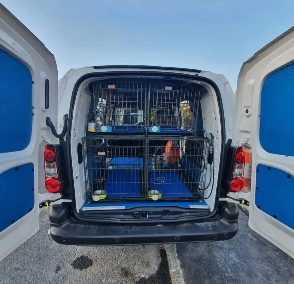 WhatsApp Image 2025-04-11 at 10.51.33.jpeg