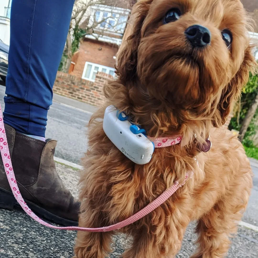 WhatsApp Image 2025-04-11 at 13.34.17.jpeg