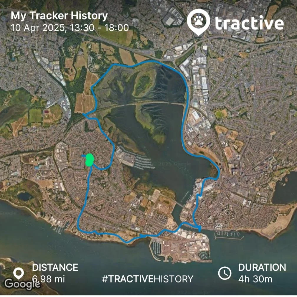 WhatsApp Image 2025-04-11 at 11.27.56.jpeg