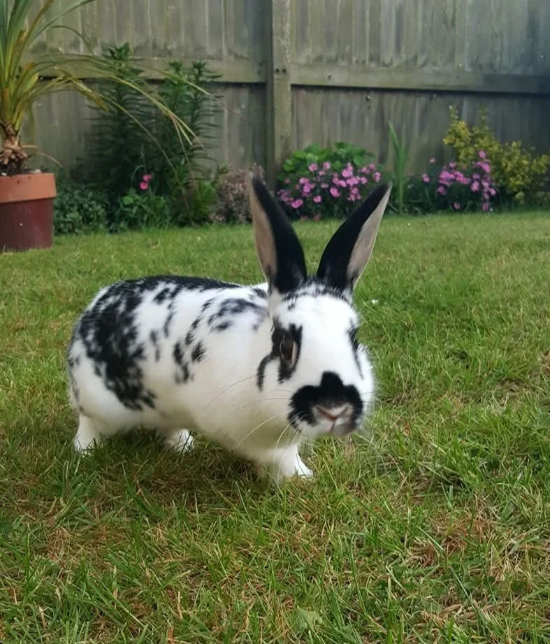 WhatsApp Image 2025-04-11 at 14.03.18.jpg