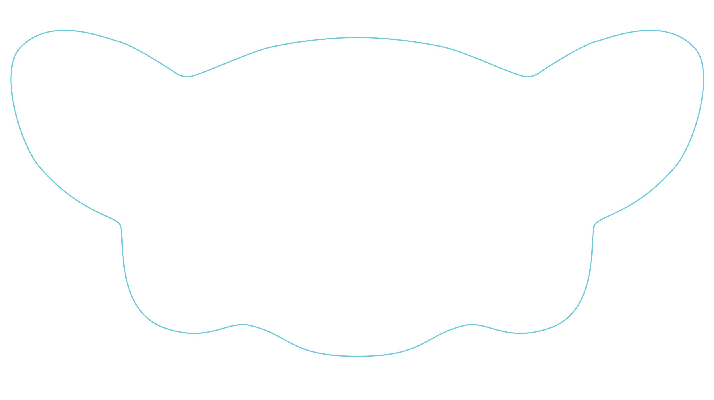 The template.
