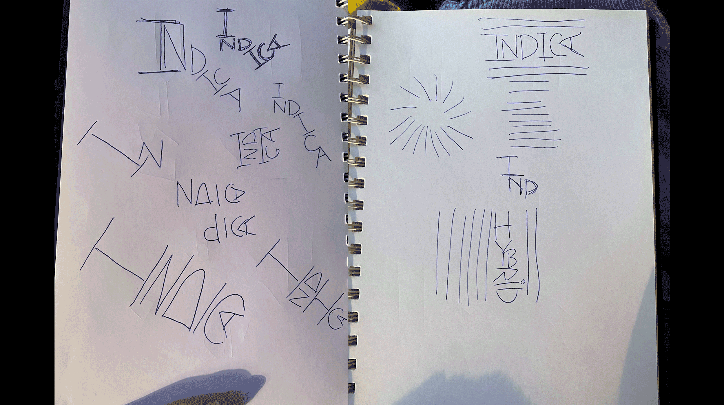 Sketches.