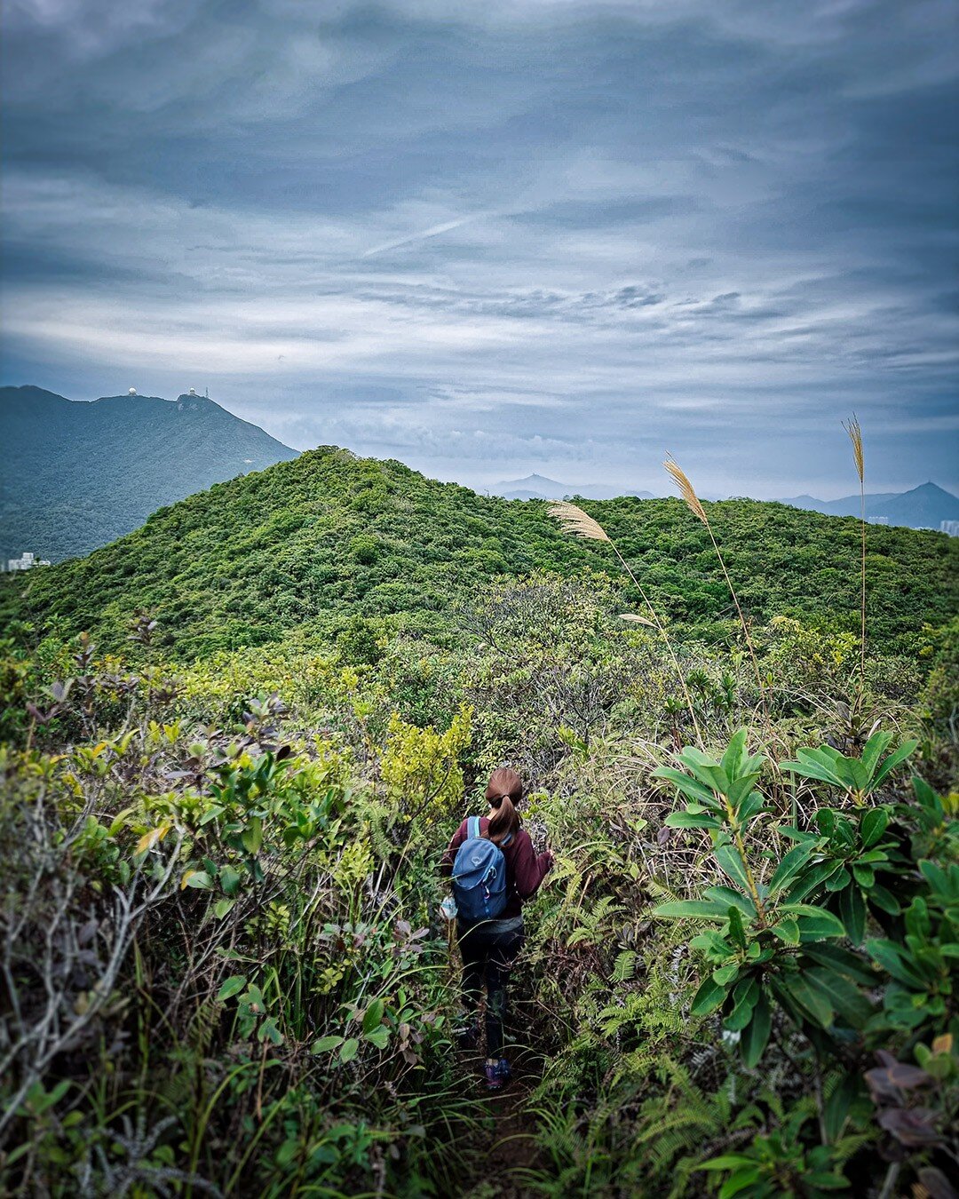 \\ HONG KONG SERIES
&ldquo;You need mountains, long staircases don't make good hikers.&rdquo; ― Amit Kalantri
.
.
.
.
.
.
.
.
#vancouverphotographer #vancouverphotographers #yvrphotographer #travelphotography #hkg #hongkong #hongkonginsta #hongkongig