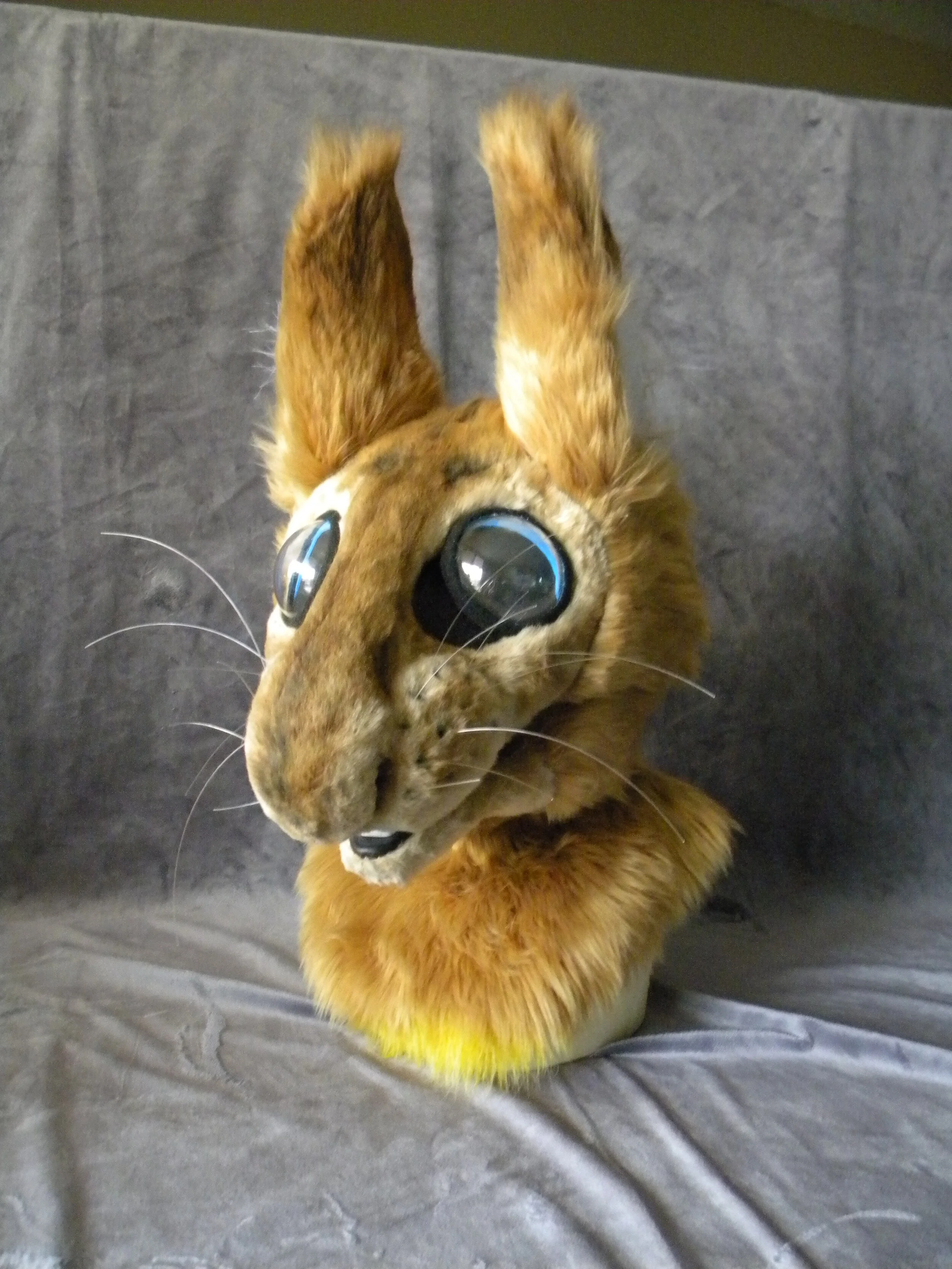 CatProwler (13).JPG