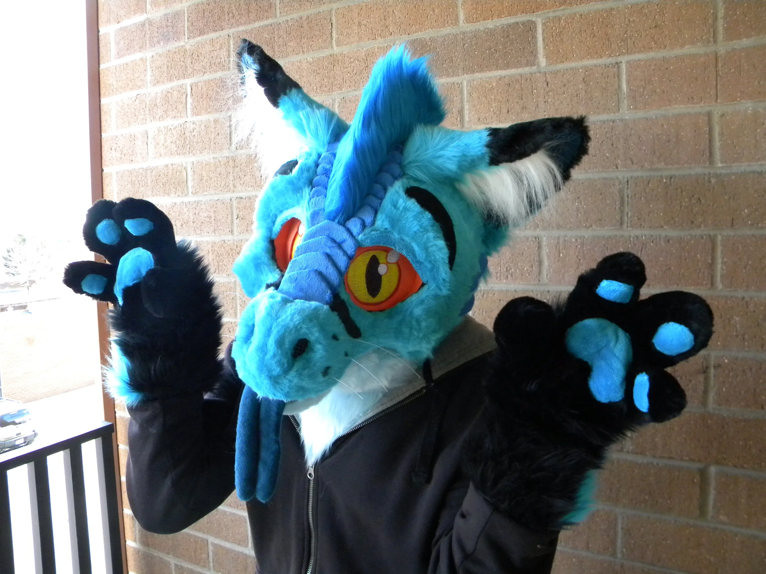 EtadFoxDragon (3).JPG