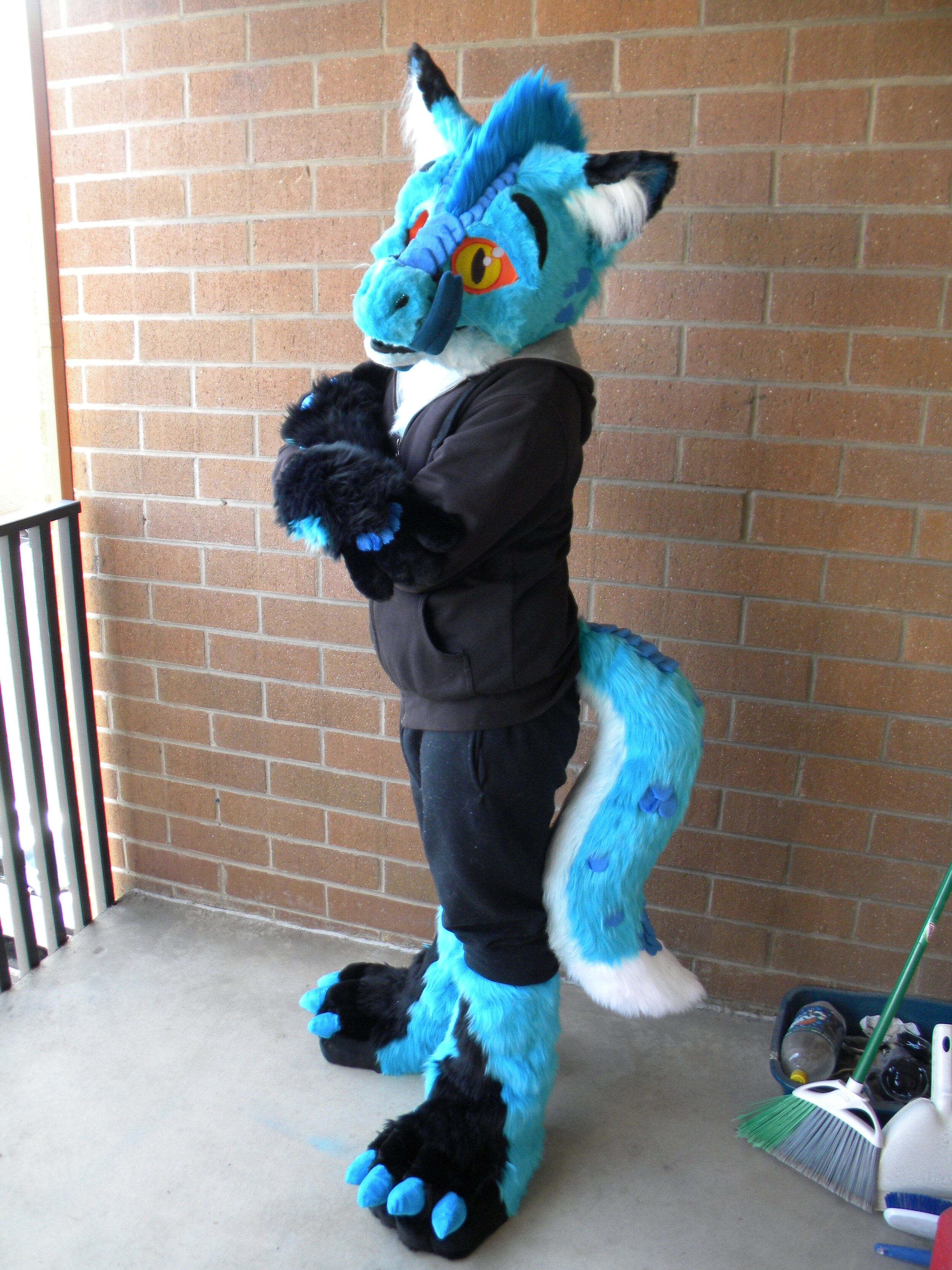 EtadFoxDragon (4).JPG