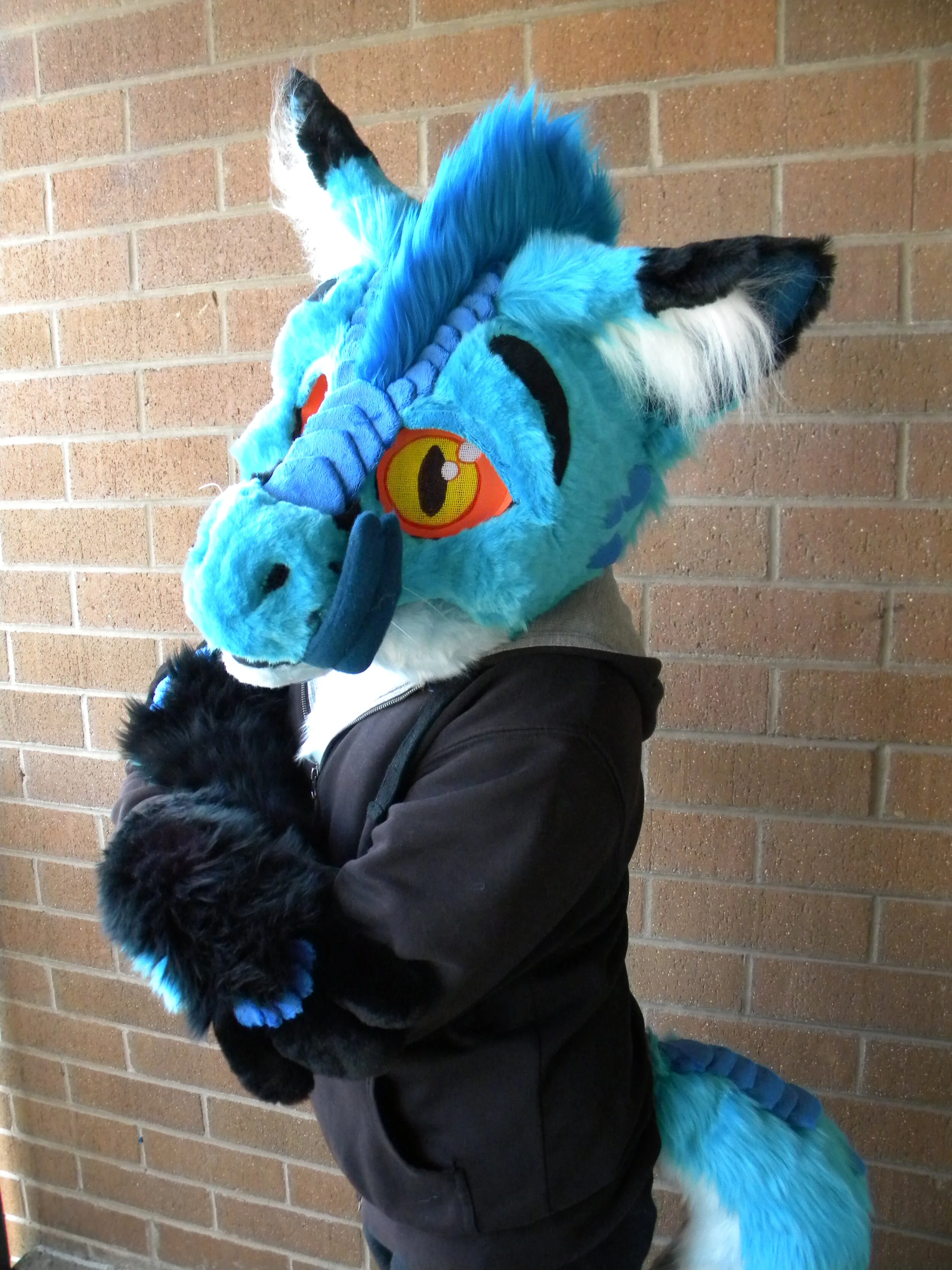 EtadFoxDragon (5).JPG
