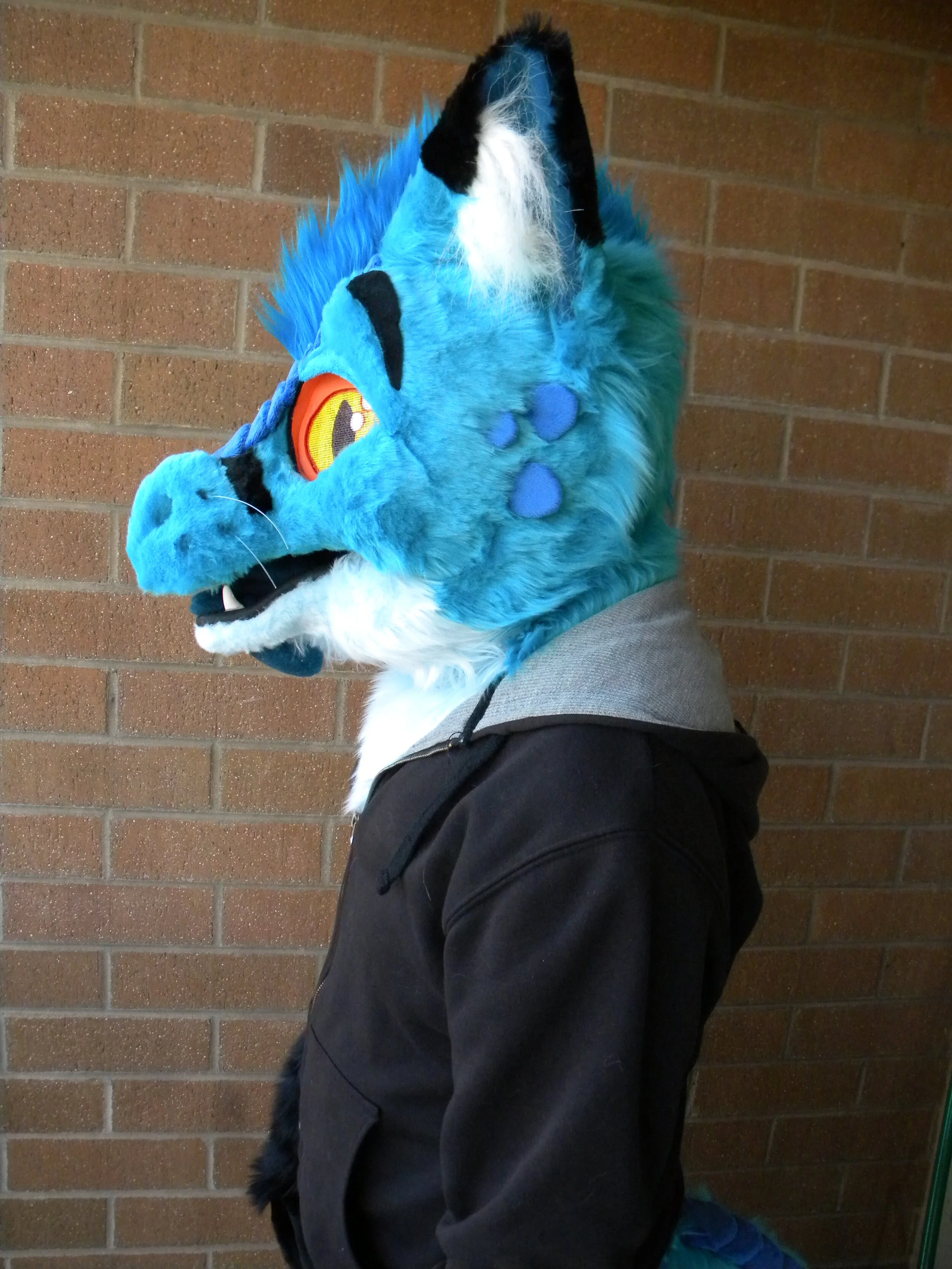 EtadFoxDragon (8).JPG