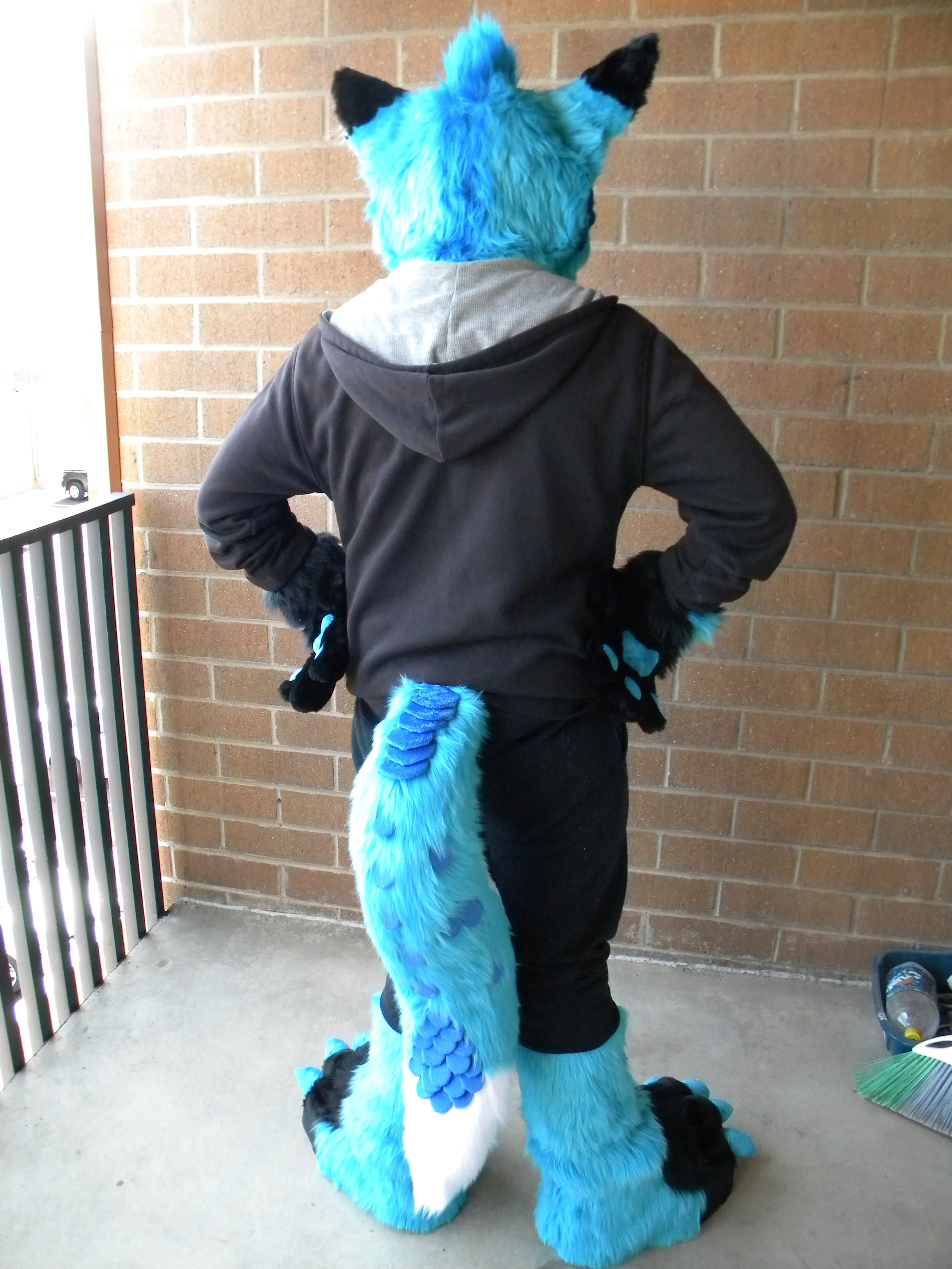 EtadFoxDragon (10).JPG