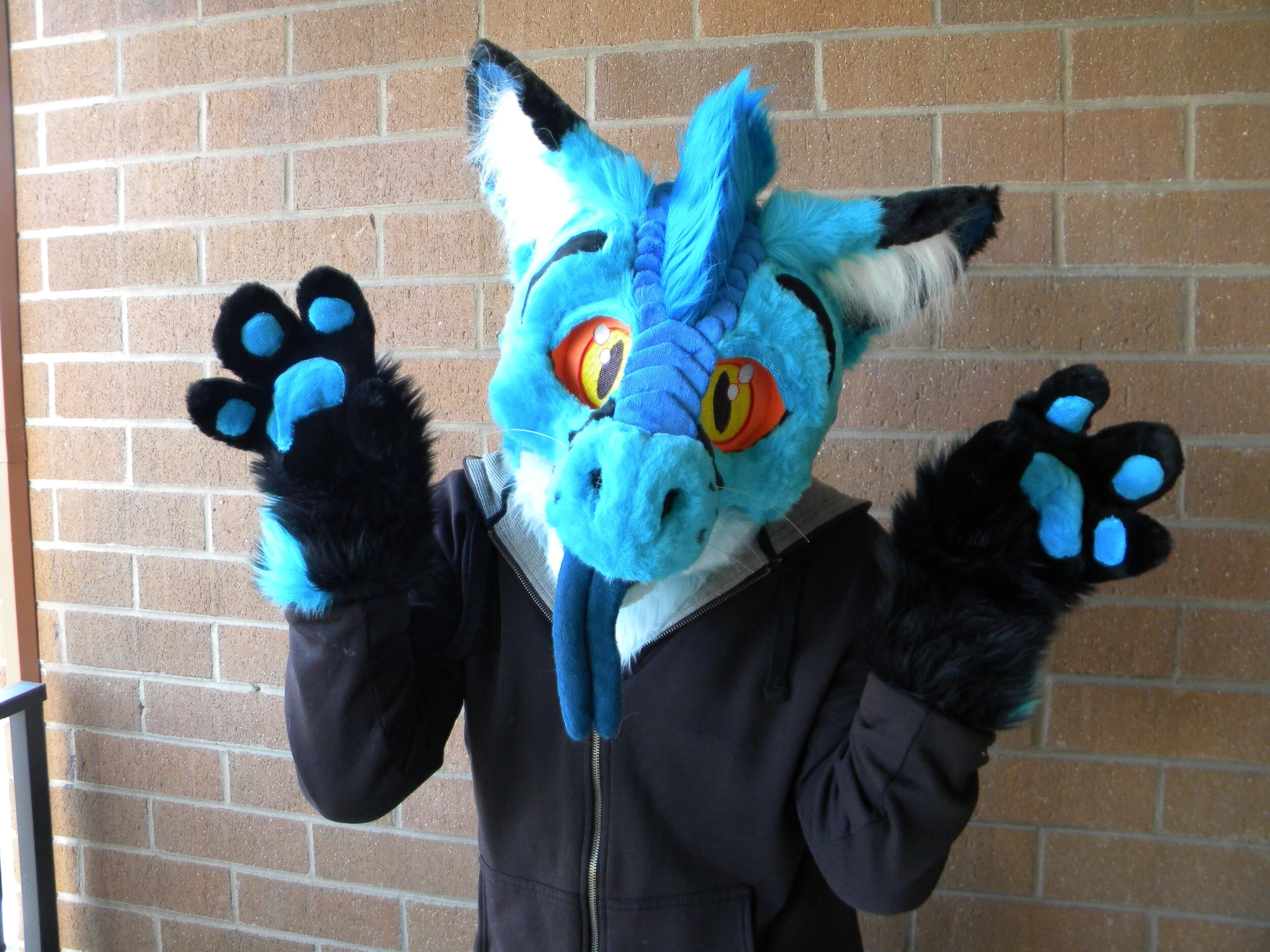 EtadFoxDragon (11).JPG