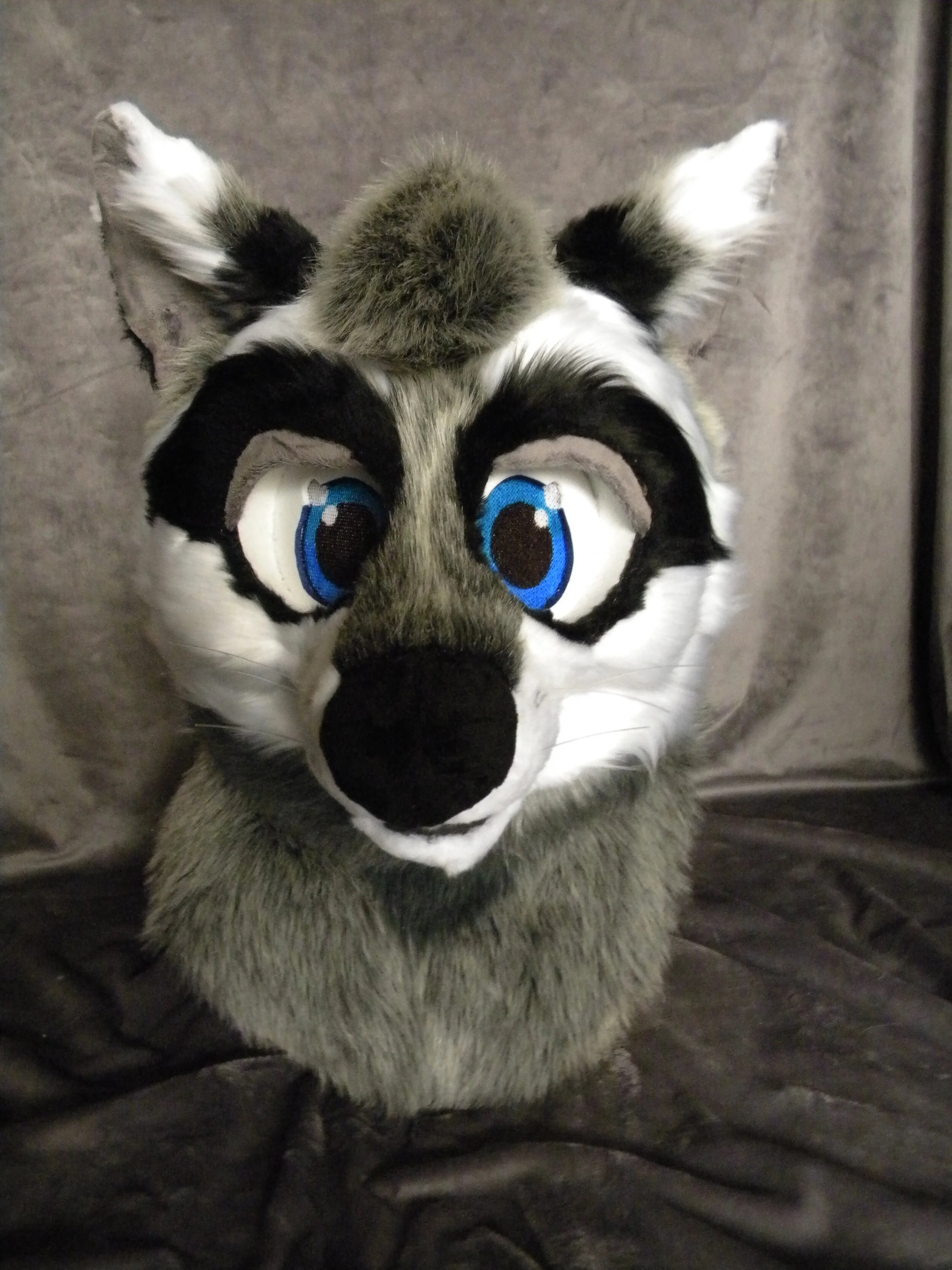 RelayRaccoon (2).JPG