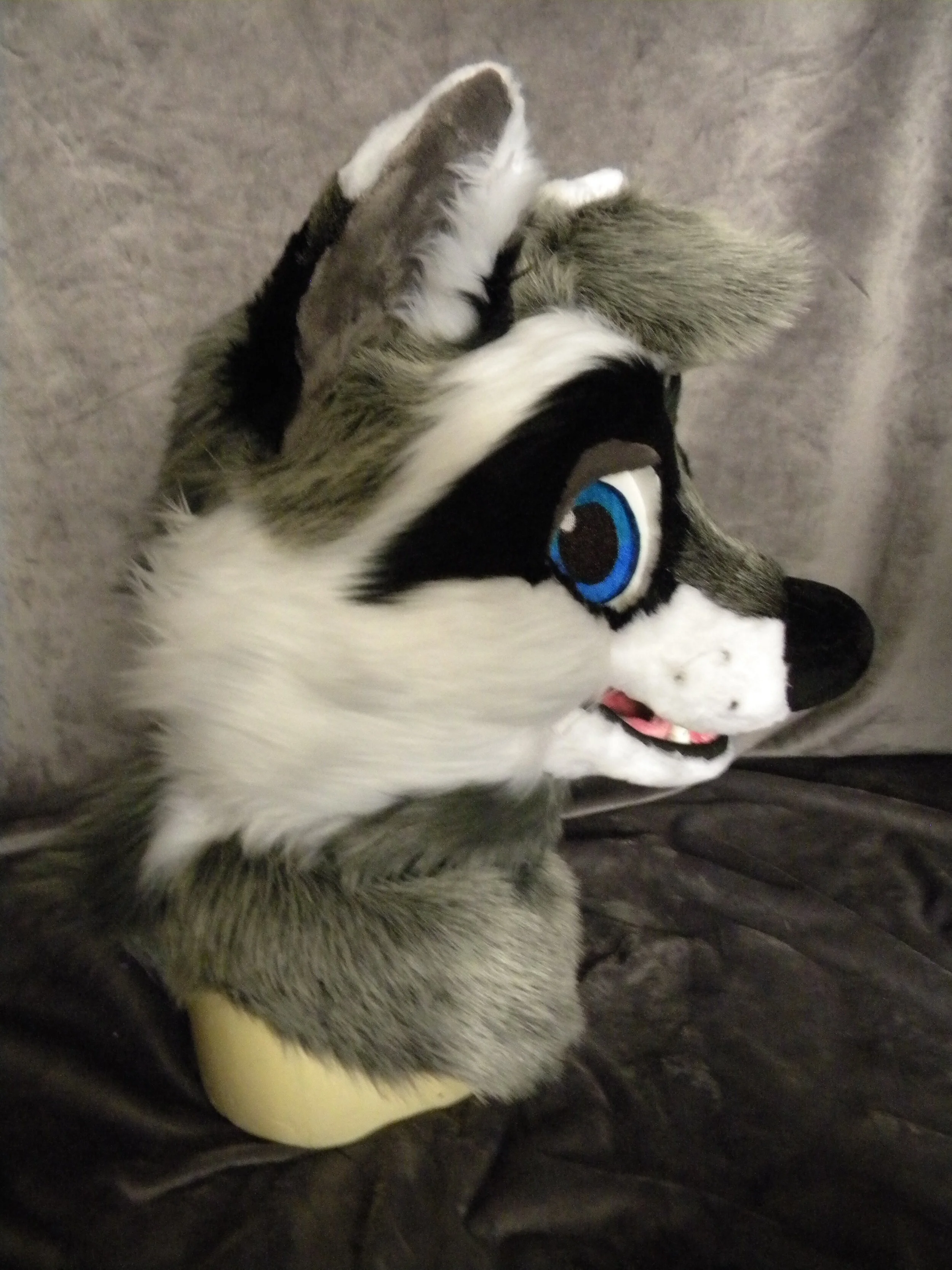 RelayRaccoon (5).JPG