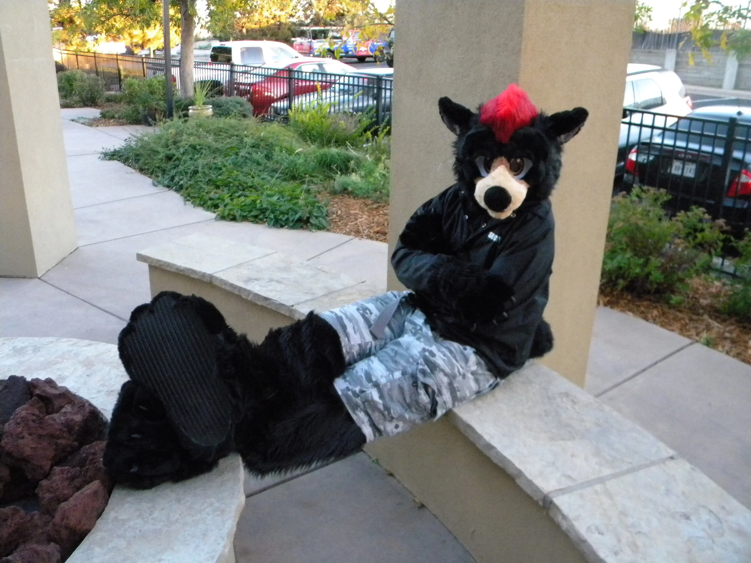 ZebidaBear (1).JPG