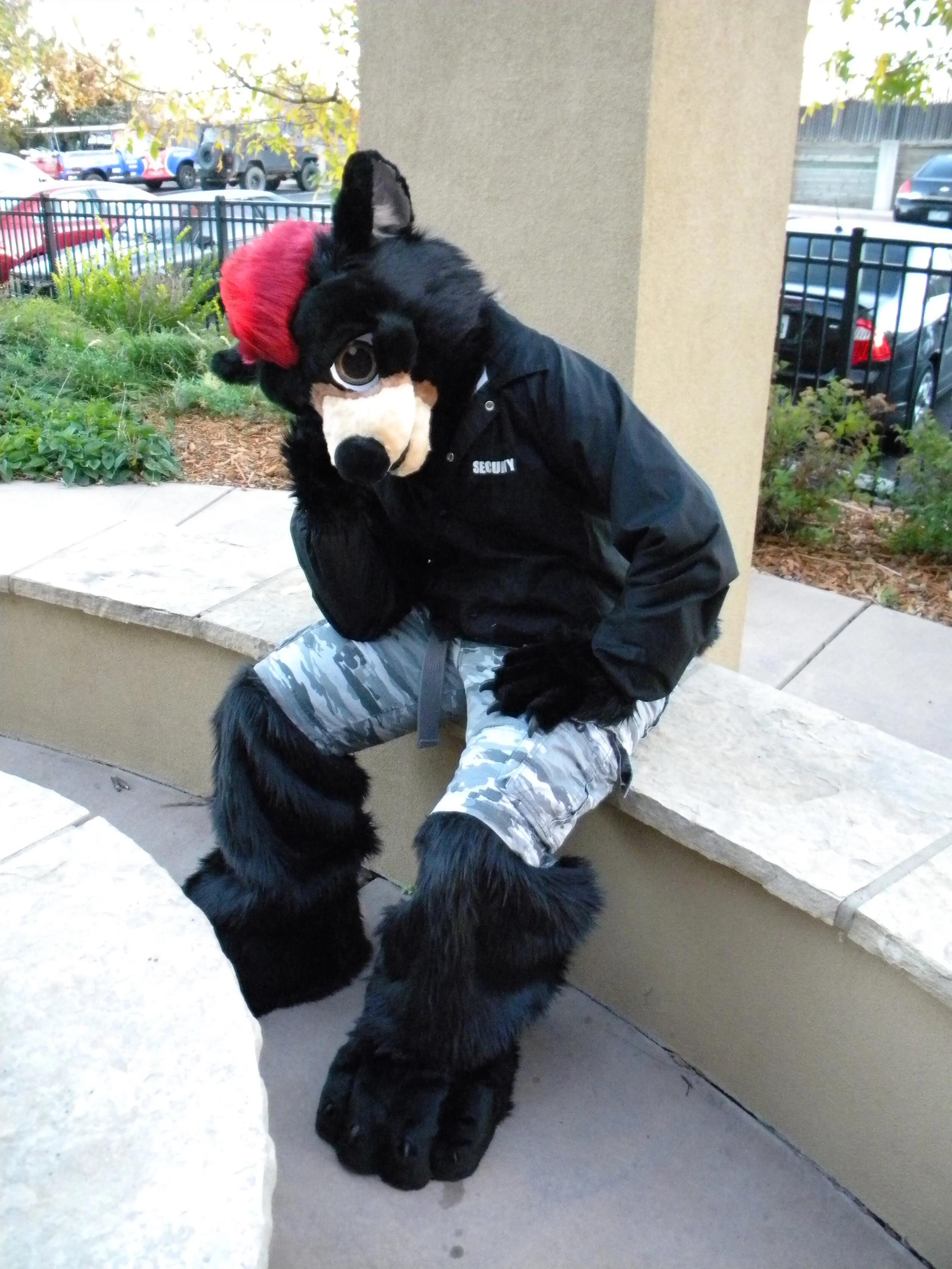 ZebidaBear (2).JPG