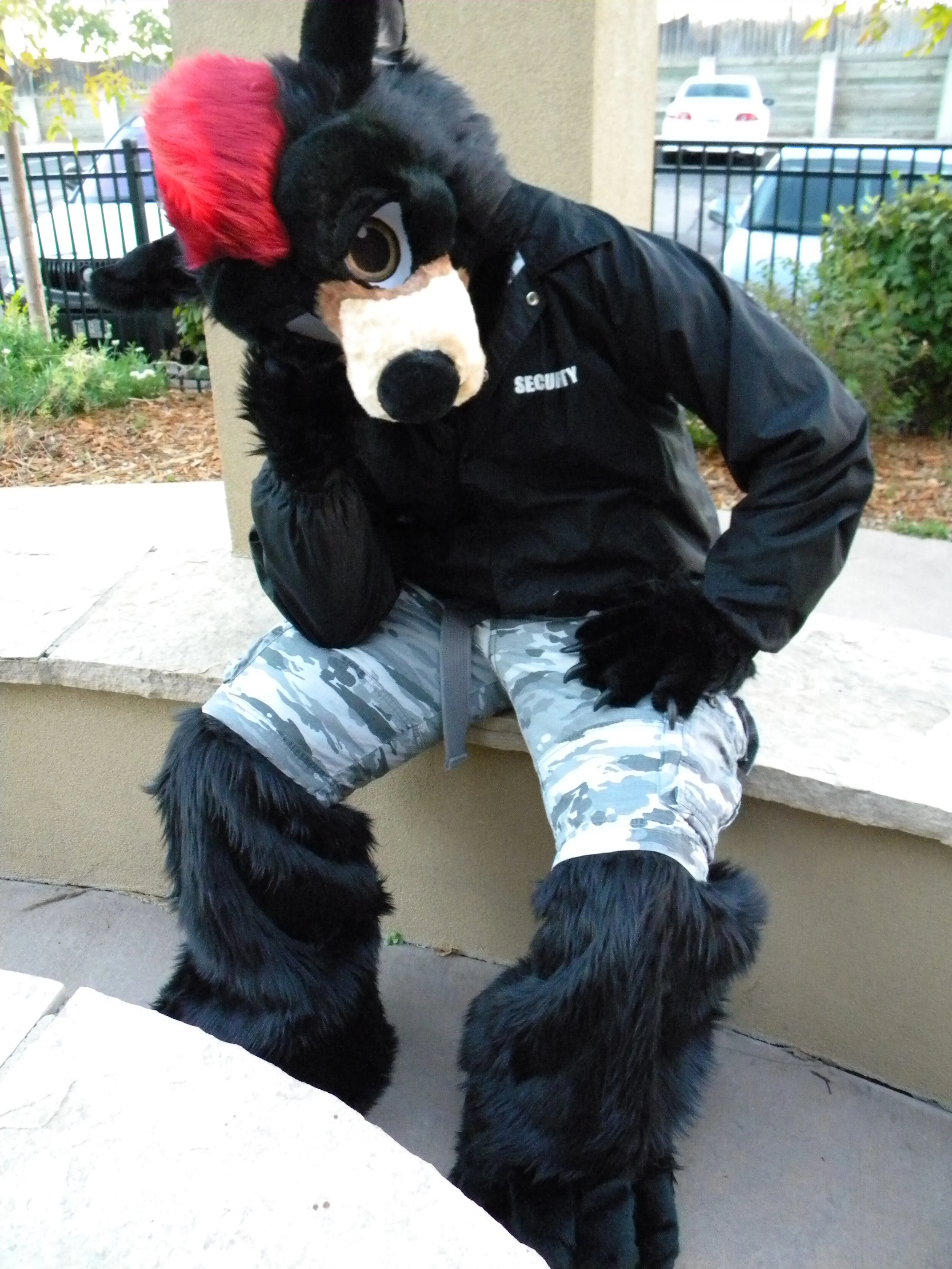 ZebidaBear (3).JPG