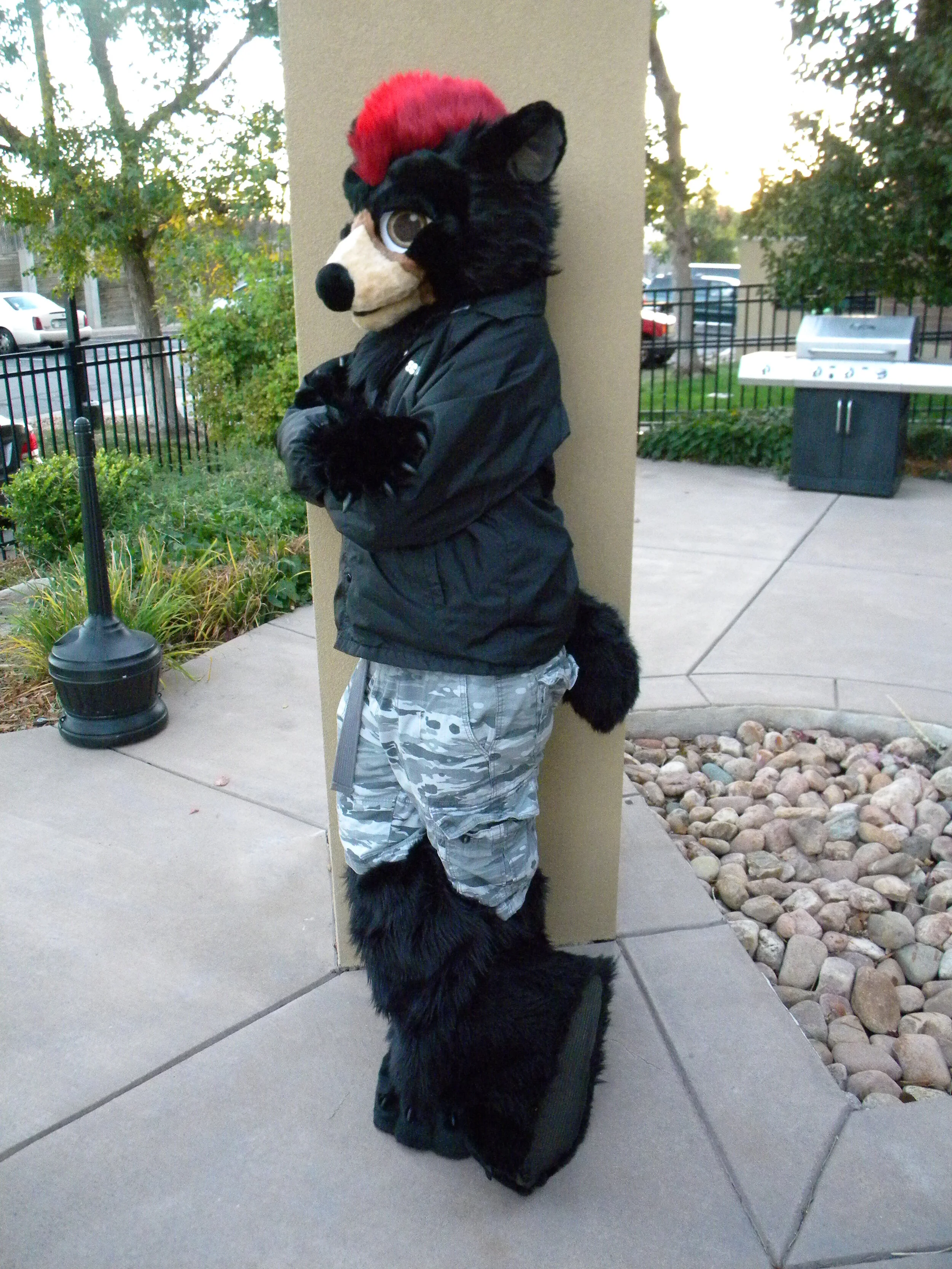 ZebidaBear (6).JPG