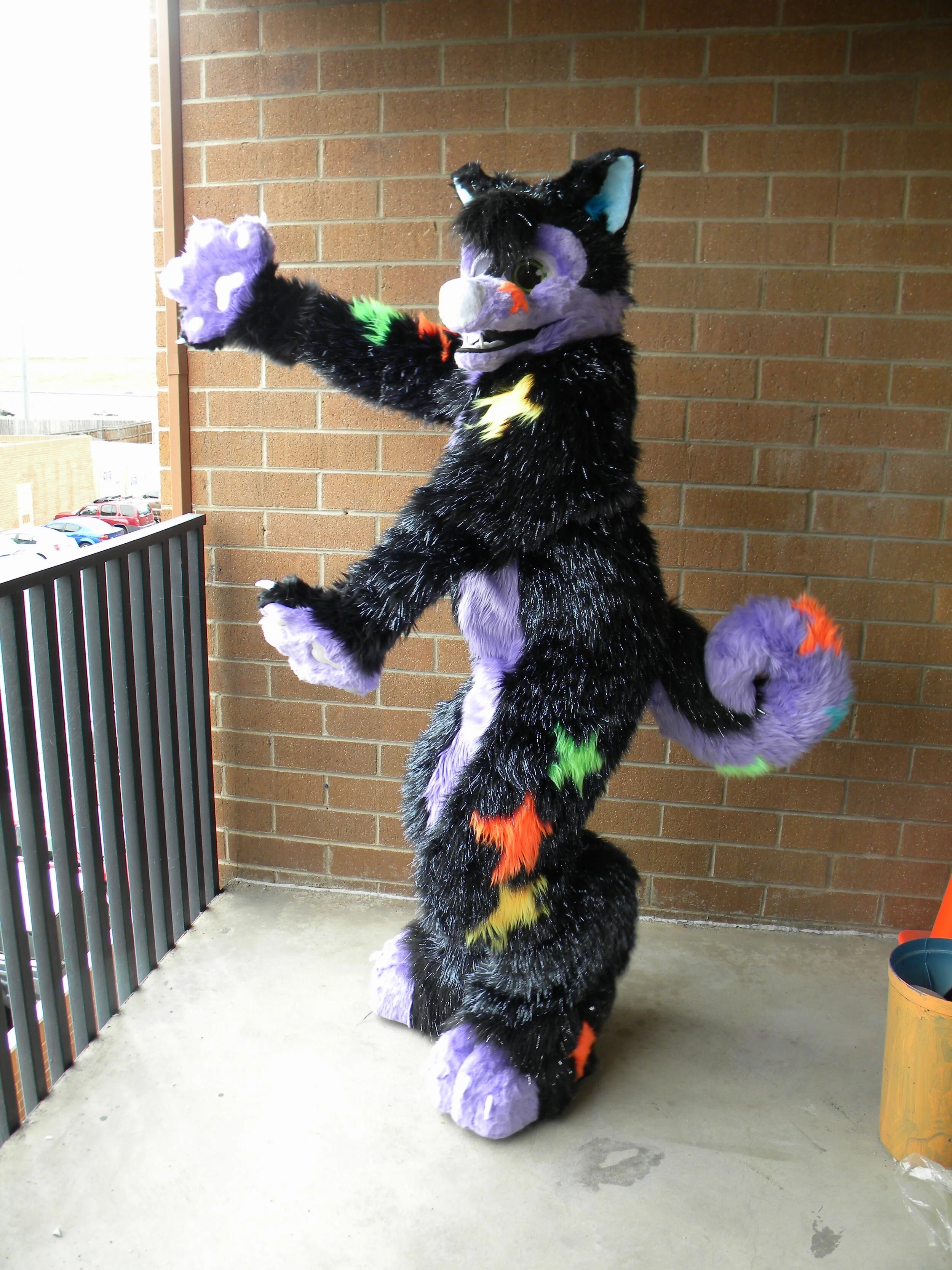 FuaranHusky (3).JPG