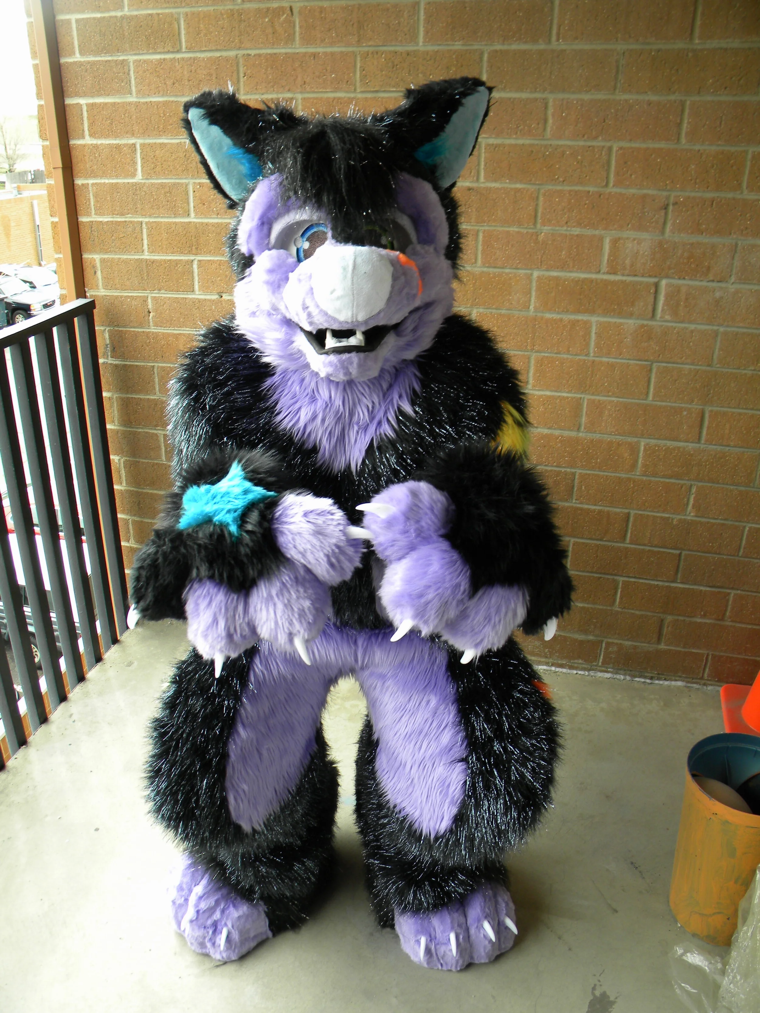 FuaranHusky (8).JPG