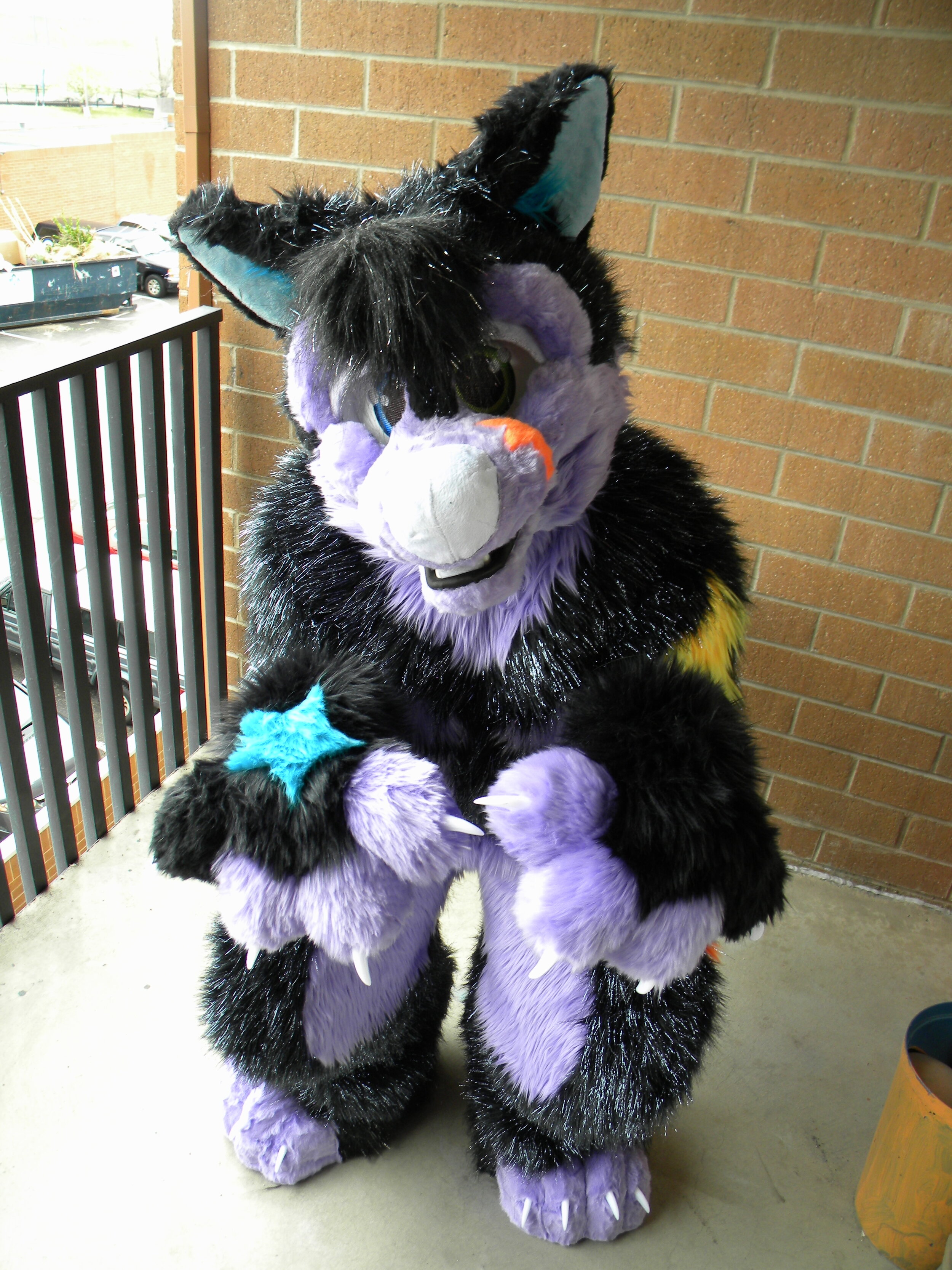 FuaranHusky (9).JPG