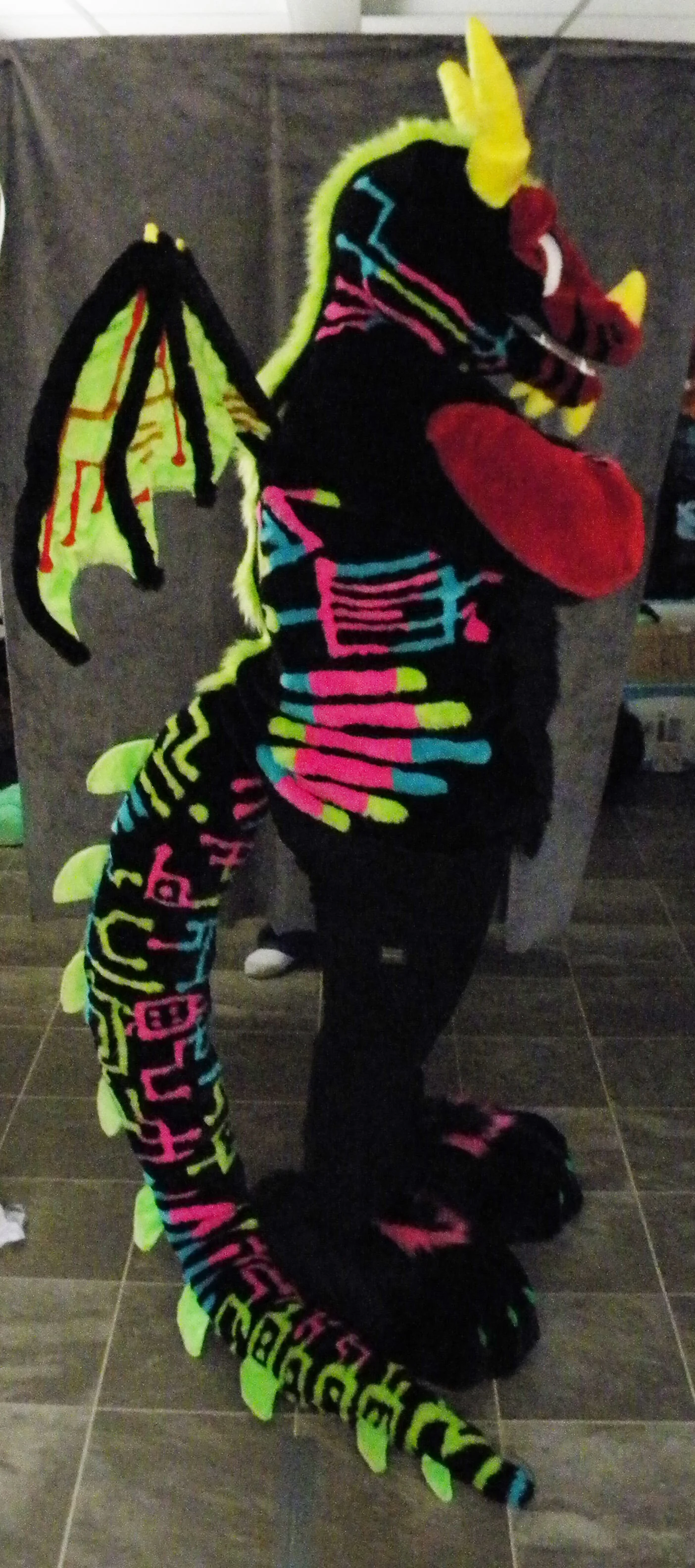 FinCyberDragon (8).JPG