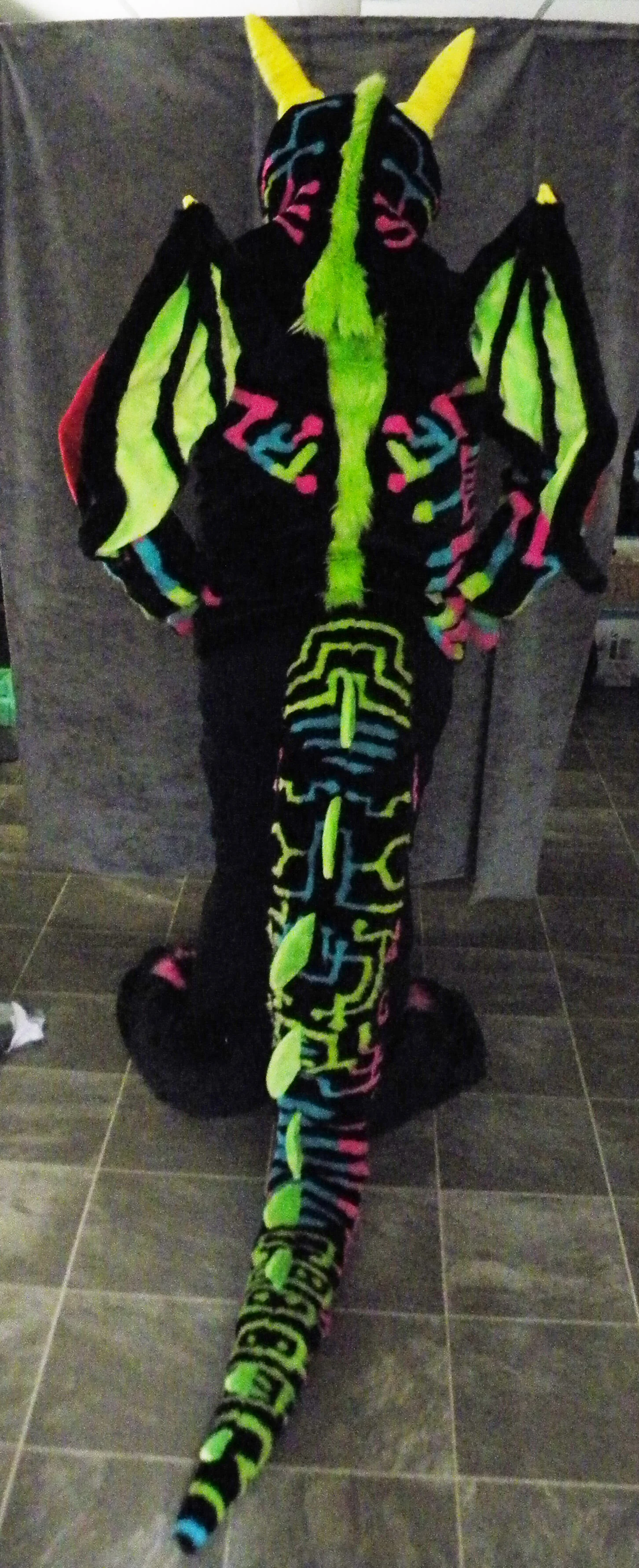 FinCyberDragon (9).JPG