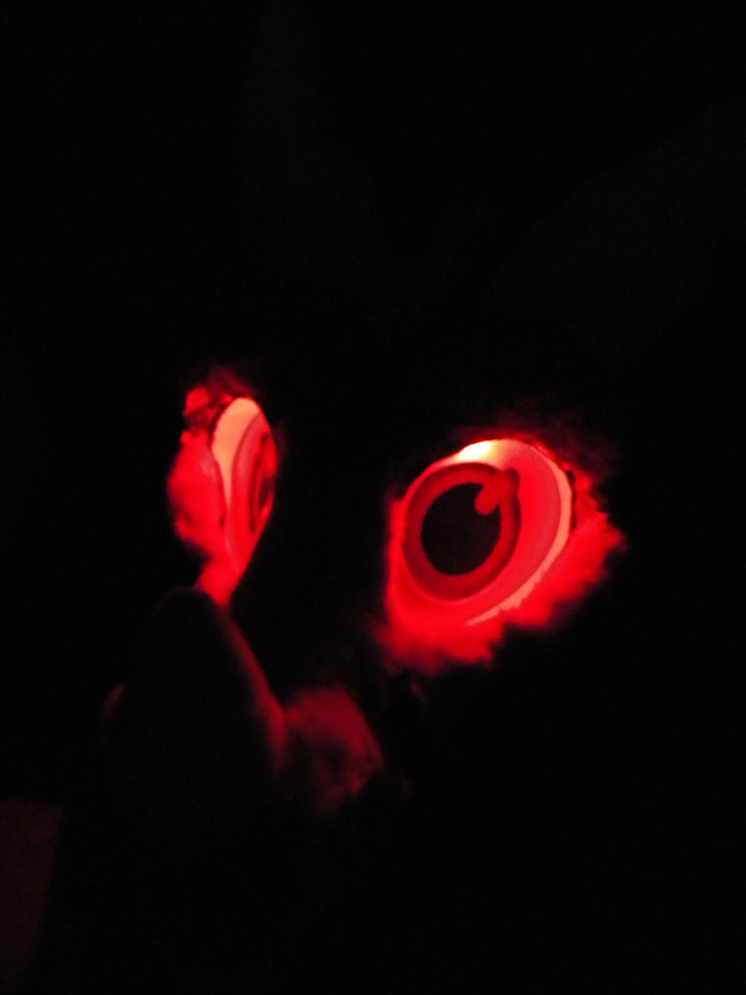 FinCyberDragon (11).JPG