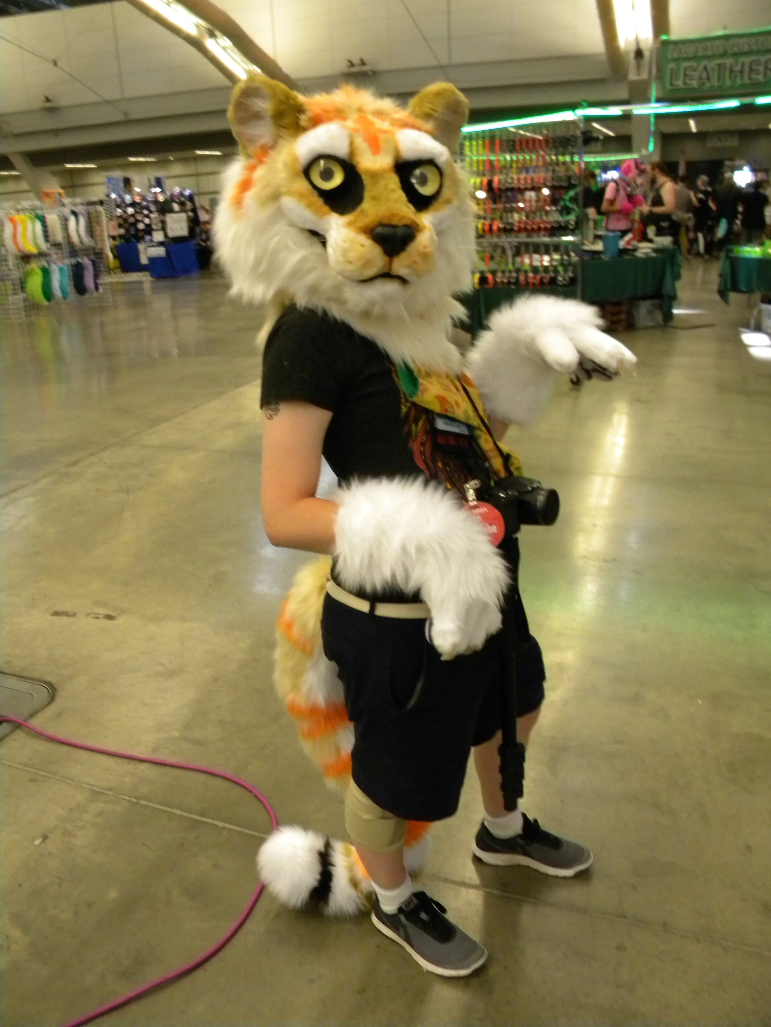 SamsonTiger (2).JPG