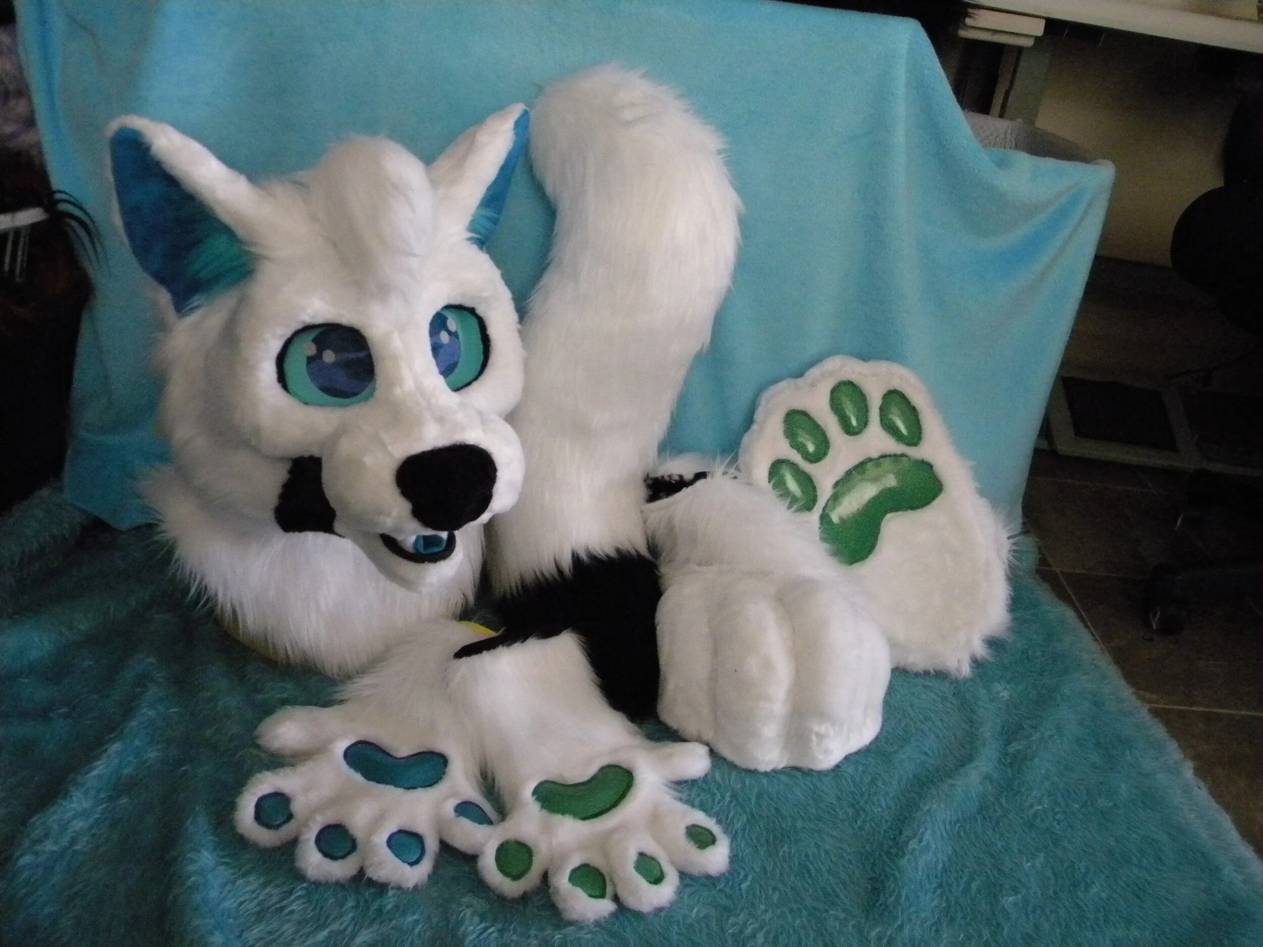 DerickPaws (2).JPG