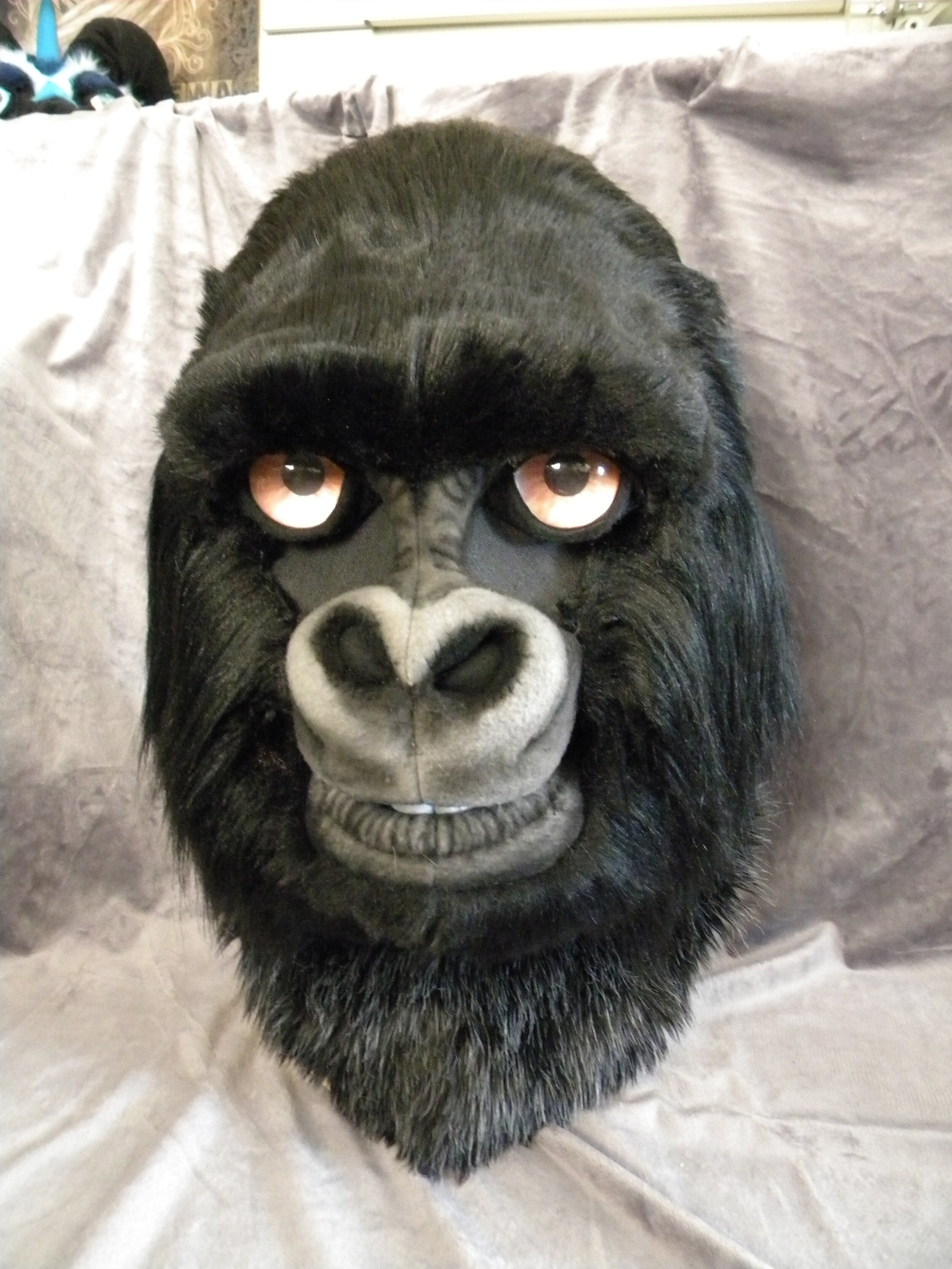 GorillaJack (2).JPG
