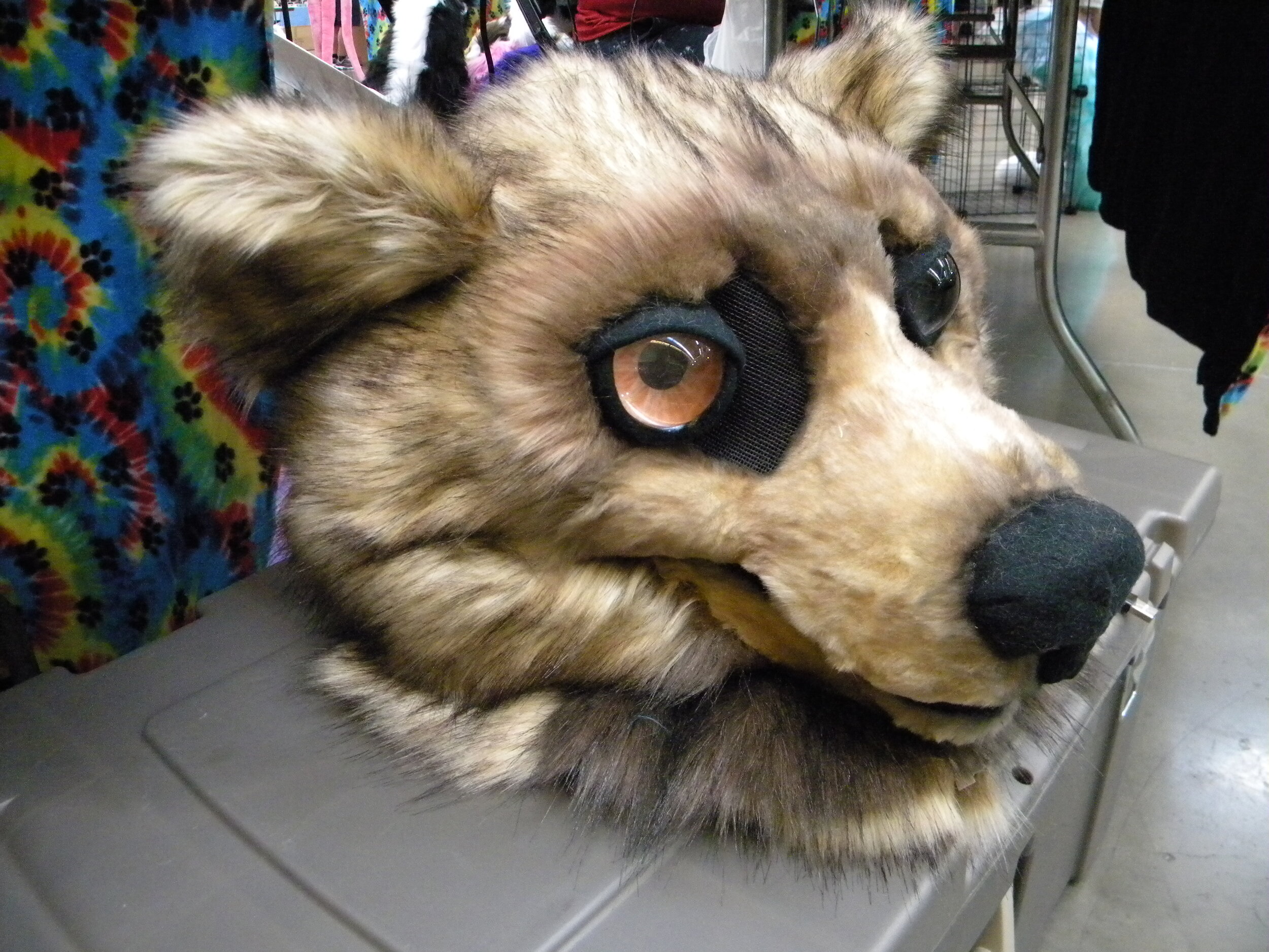 Grizzly (2).JPG