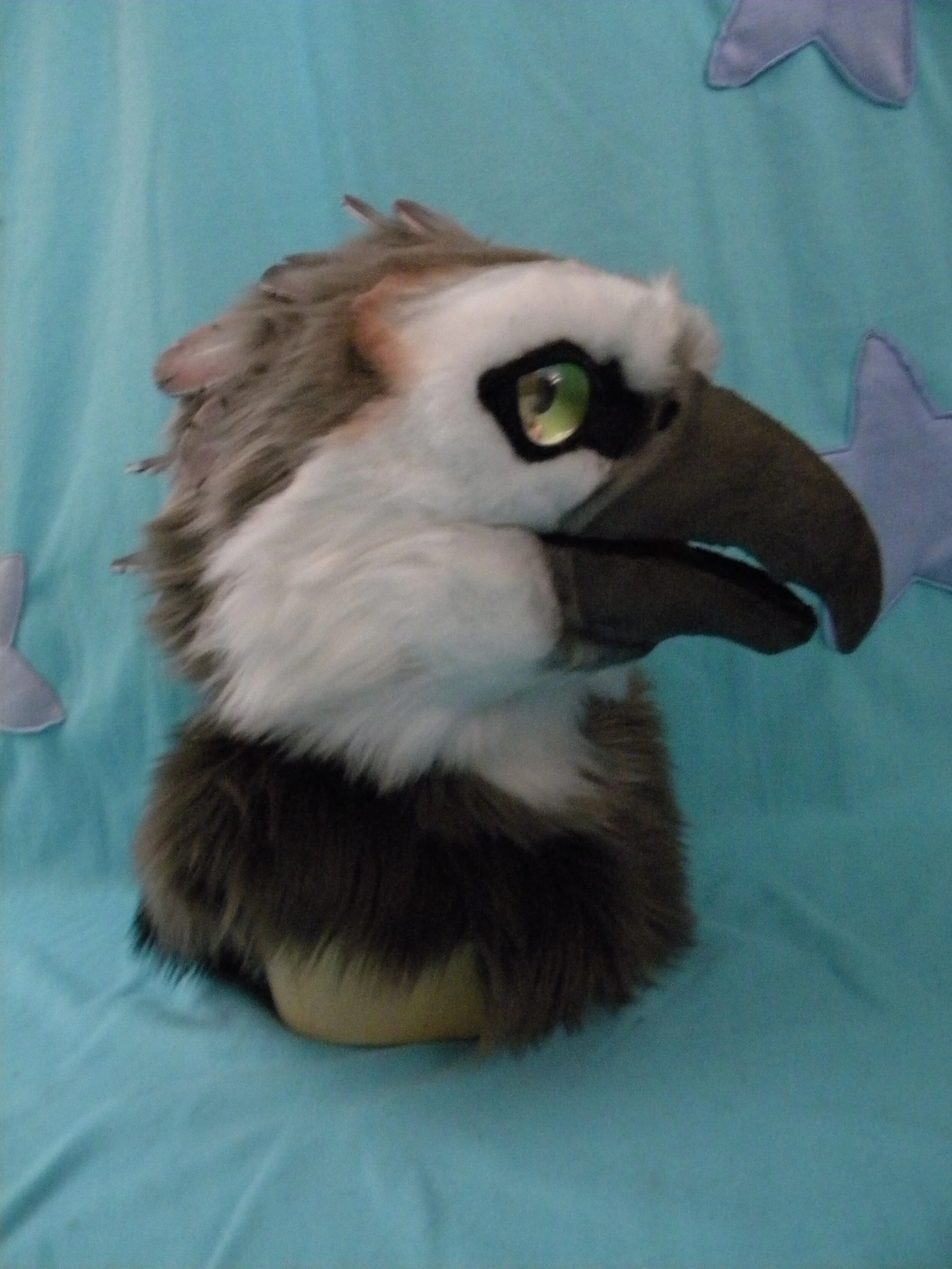 Harpy (14).JPG