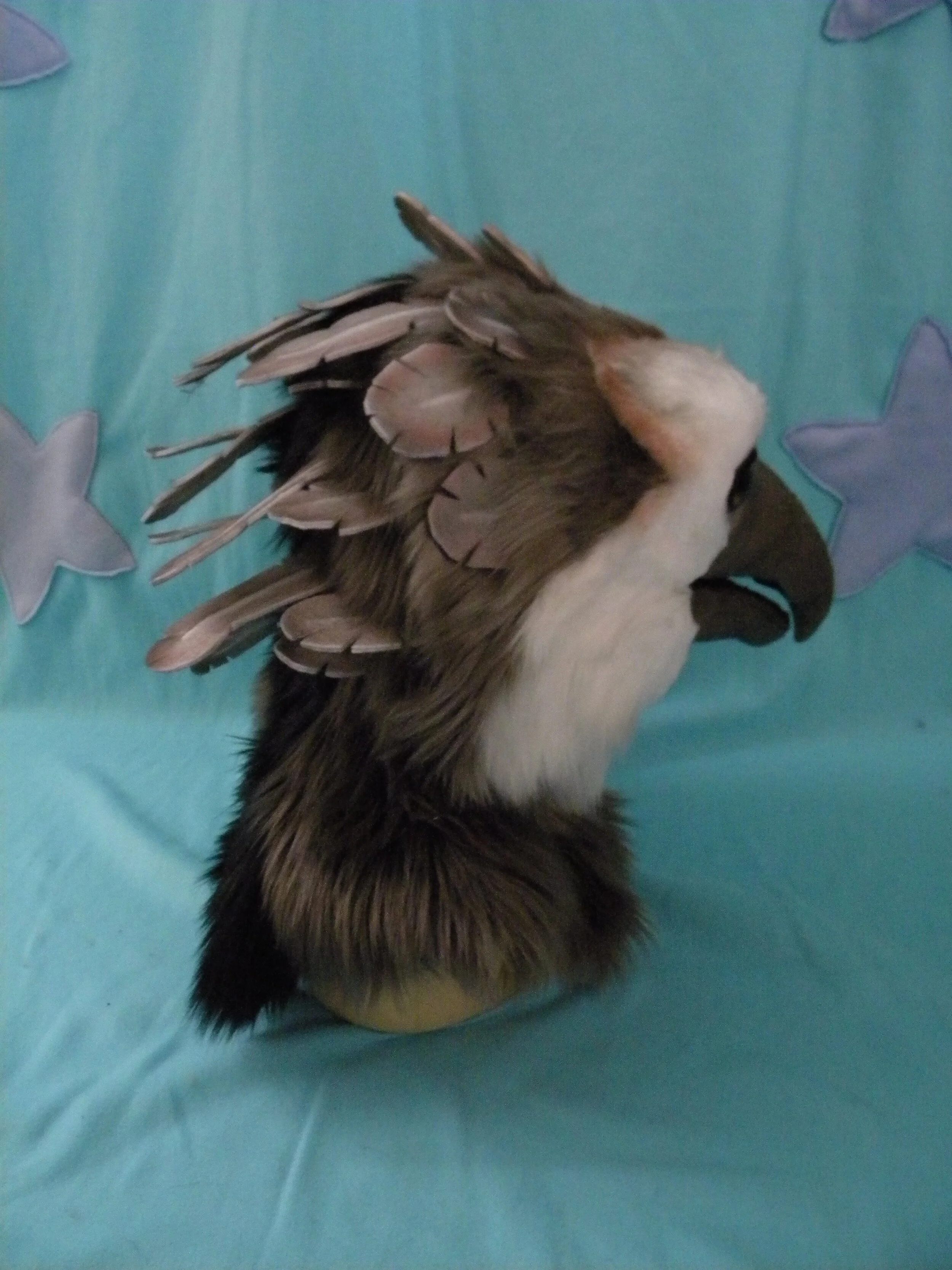 Harpy (15).JPG