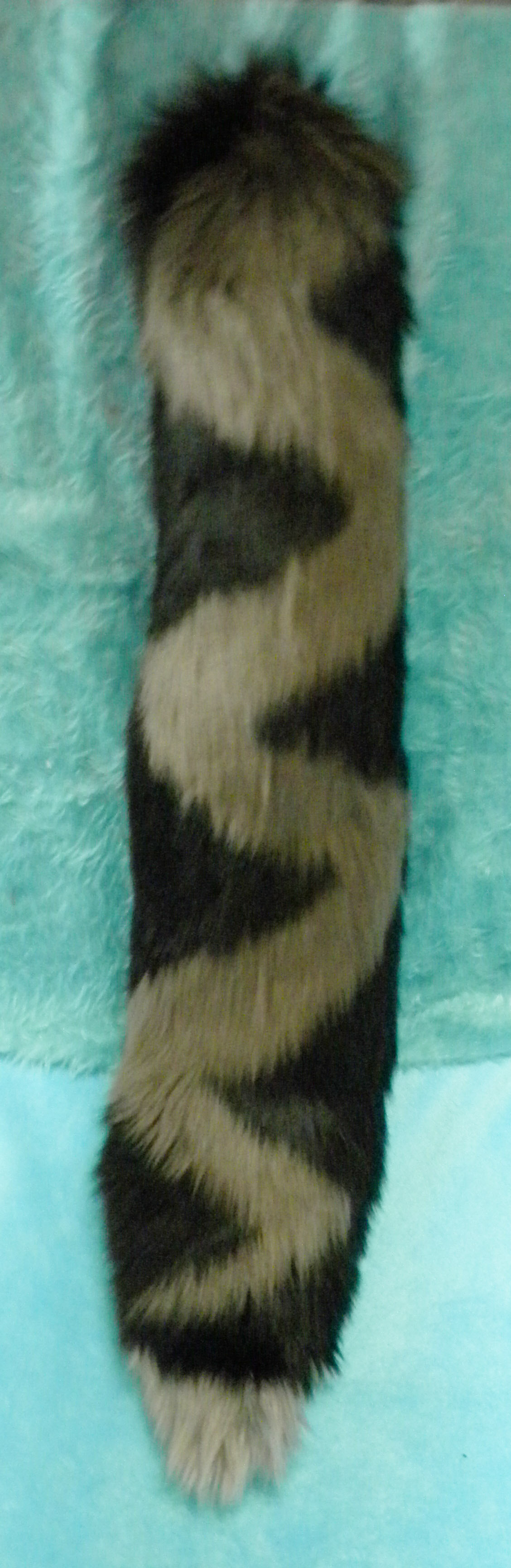 Thor (14).JPG