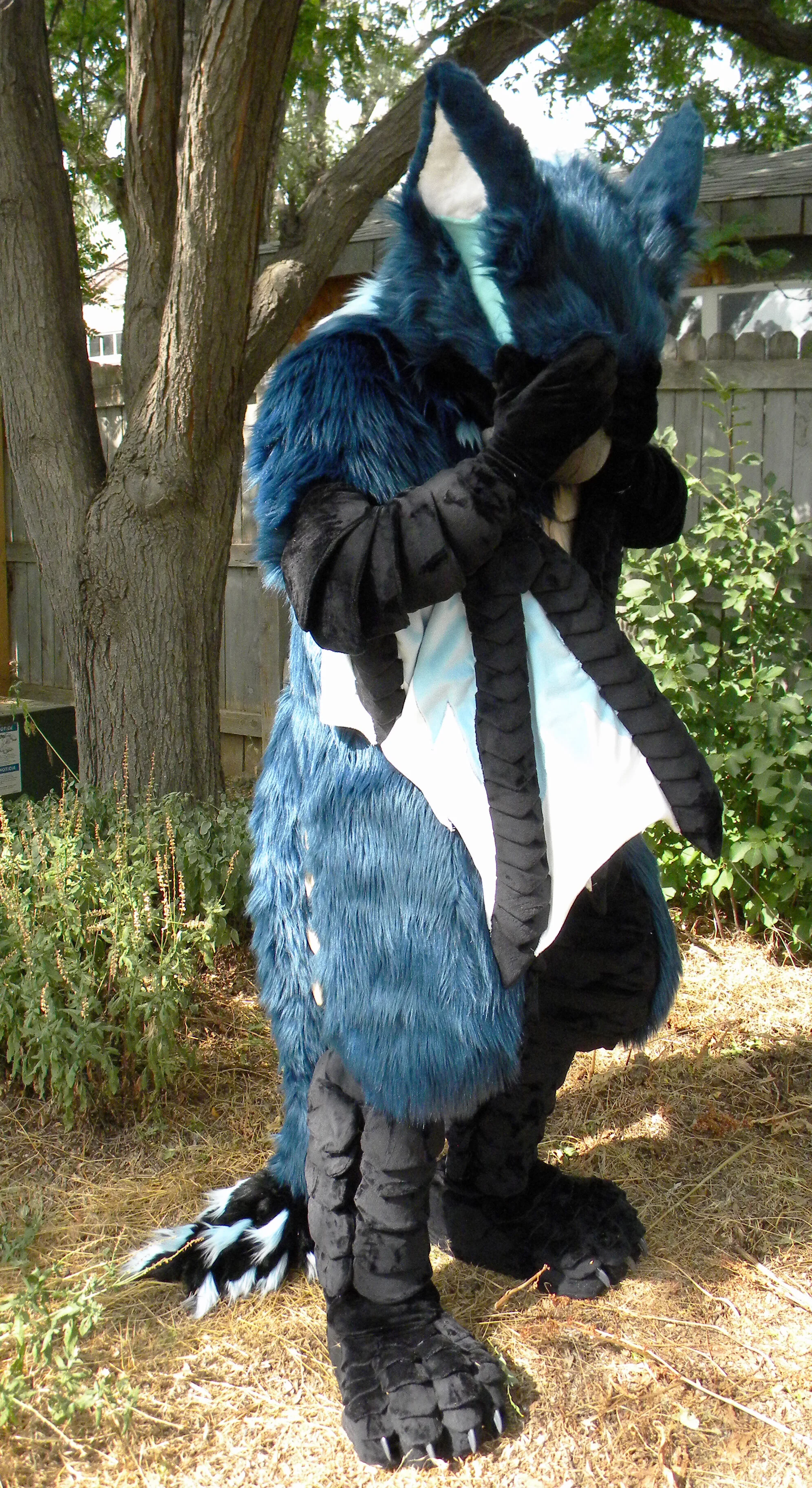 DSCN9194.JPG