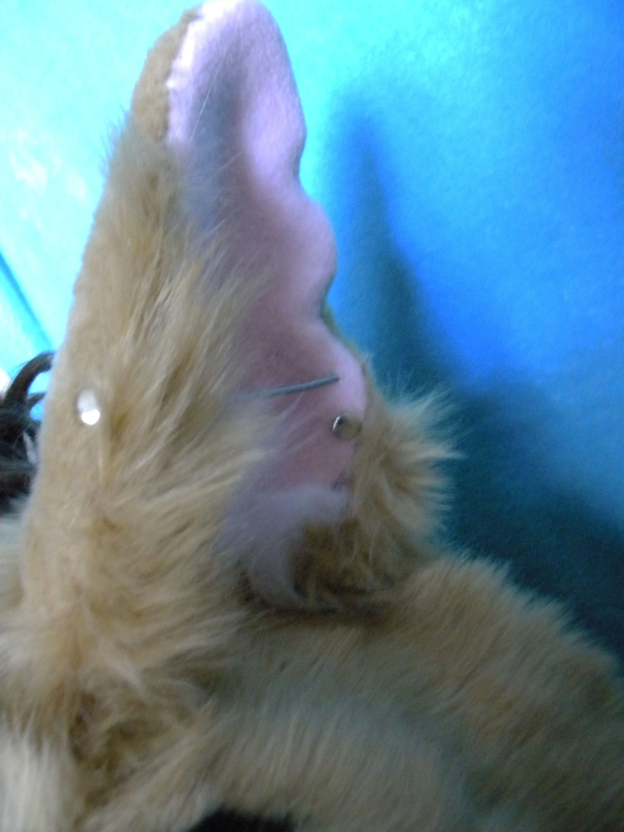 DSCN9285.JPG