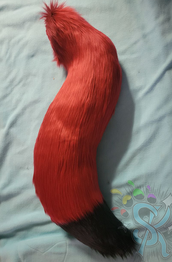 Black-Tipped Fox