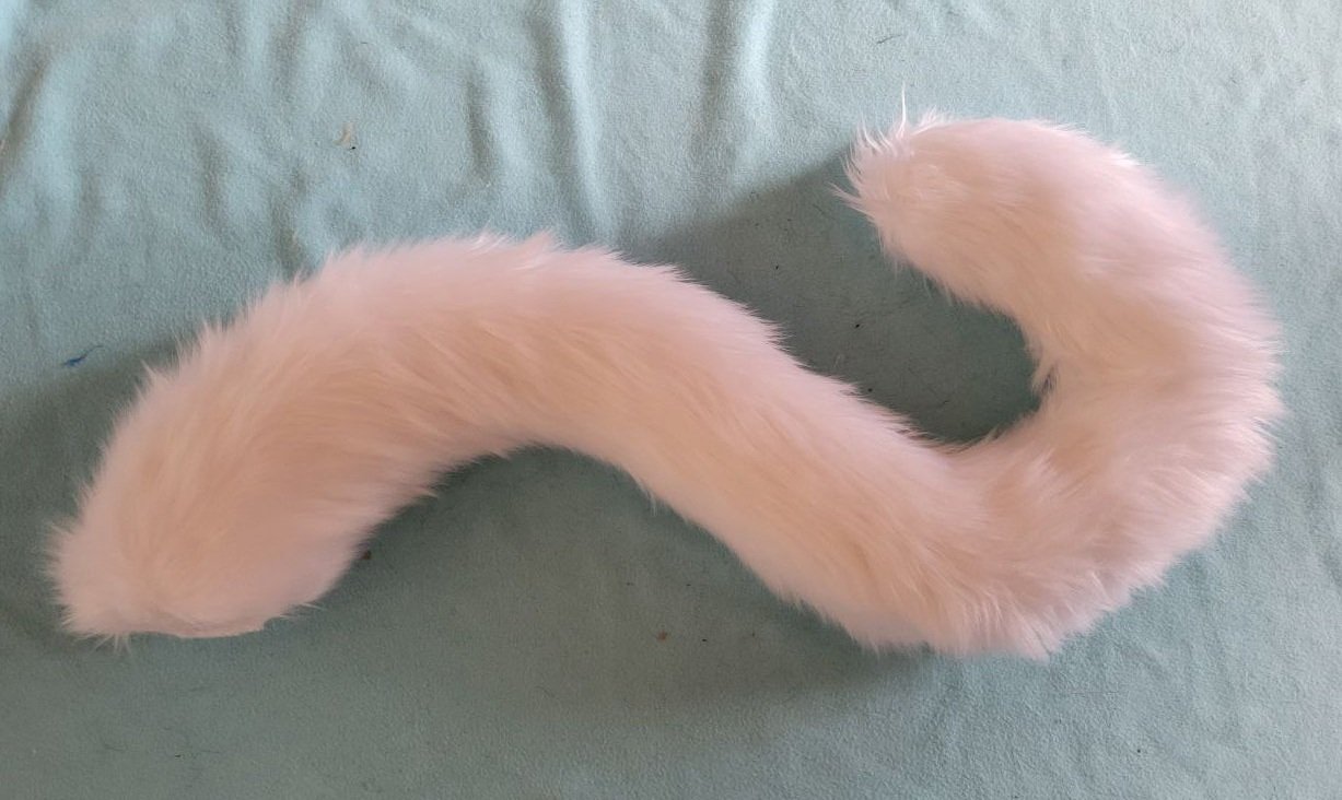 Cat+%2816%29.jpg