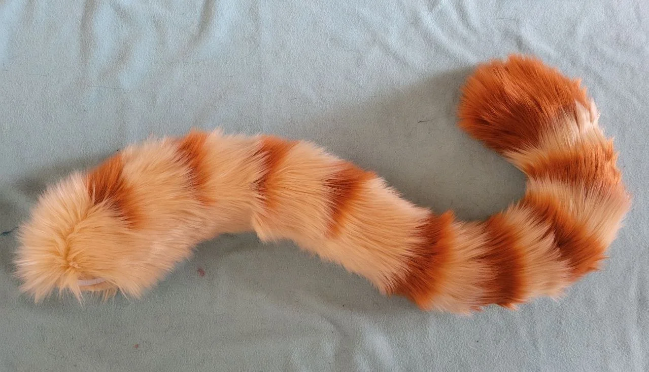 Tabby+%282%29.jpg