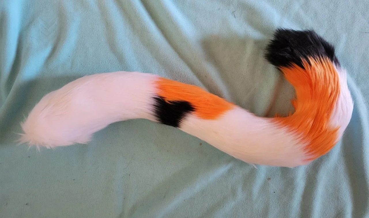 CalicoCat.jpg